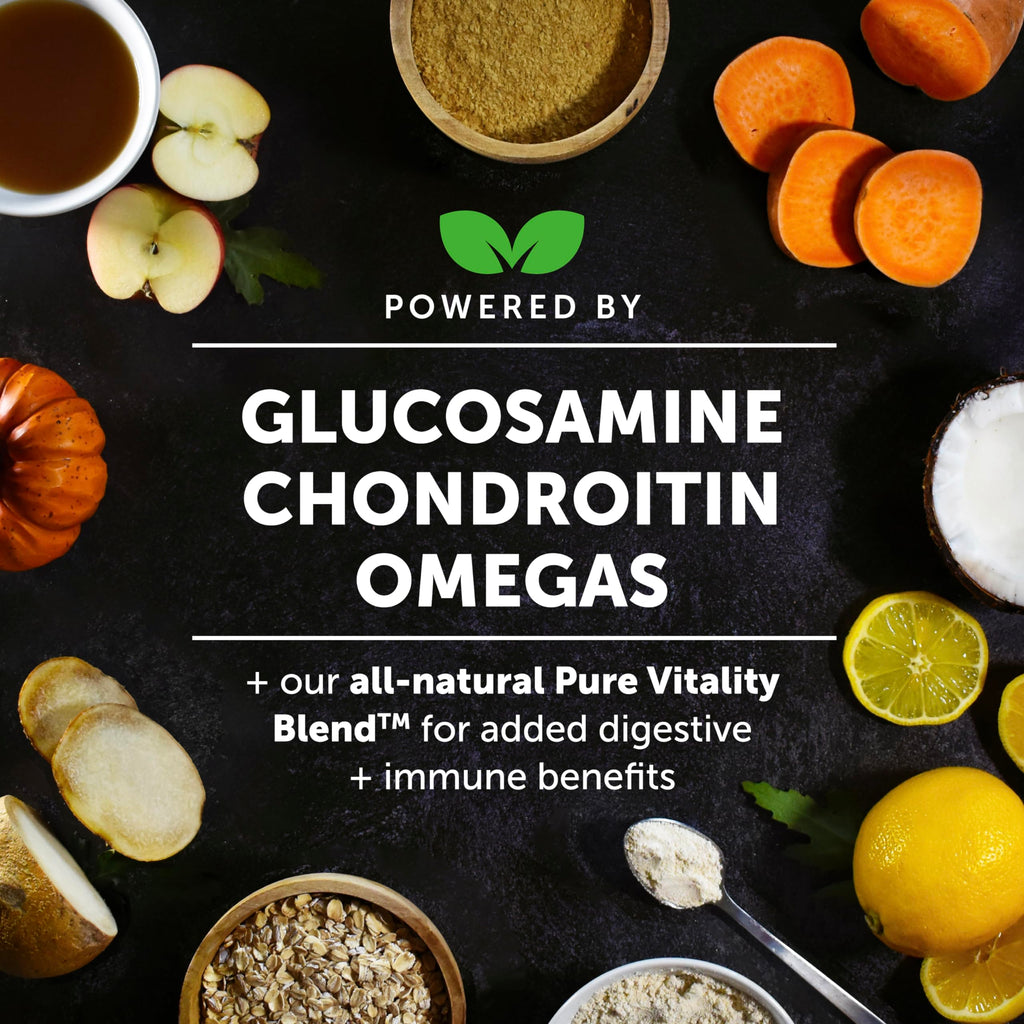 Hemp Hip & Joint Supplement for Dogs - Hemp Oil & Powder - Glucosamine Chondroitin for Dogs, Turmeric, MSM, Green-Lipped Mussel, Supports Mobility, May Reduce Discomfort (Bacon) Pet Honesty Au supplements