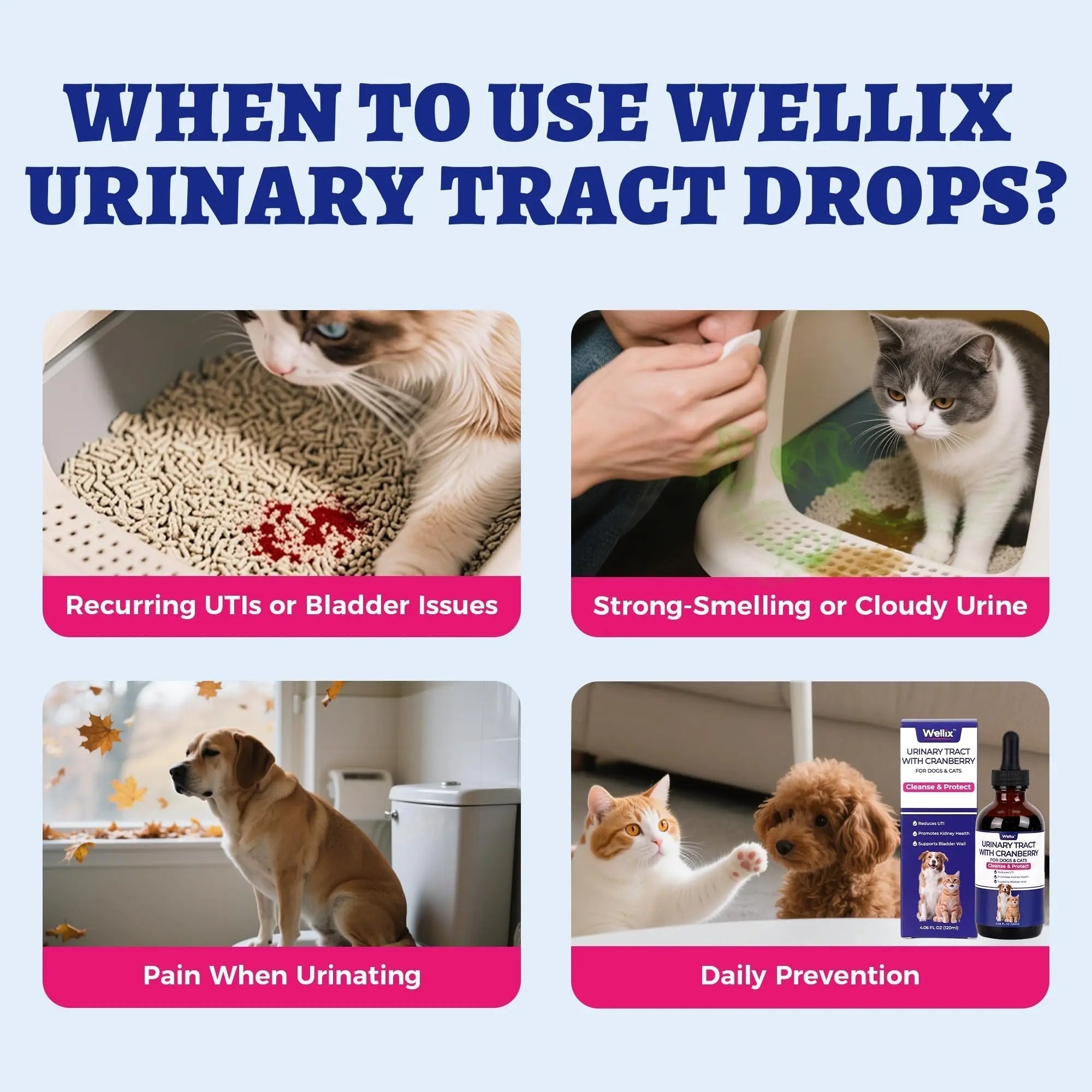4oz Wellix Natural Cat & Dog UTI Treatment Drops,Cat & Dog Urinary Tract Infection Treatment - Cranberry & D-Mannose for Dogs & Cats - Kidney Health Supplement Wellix Au supplements