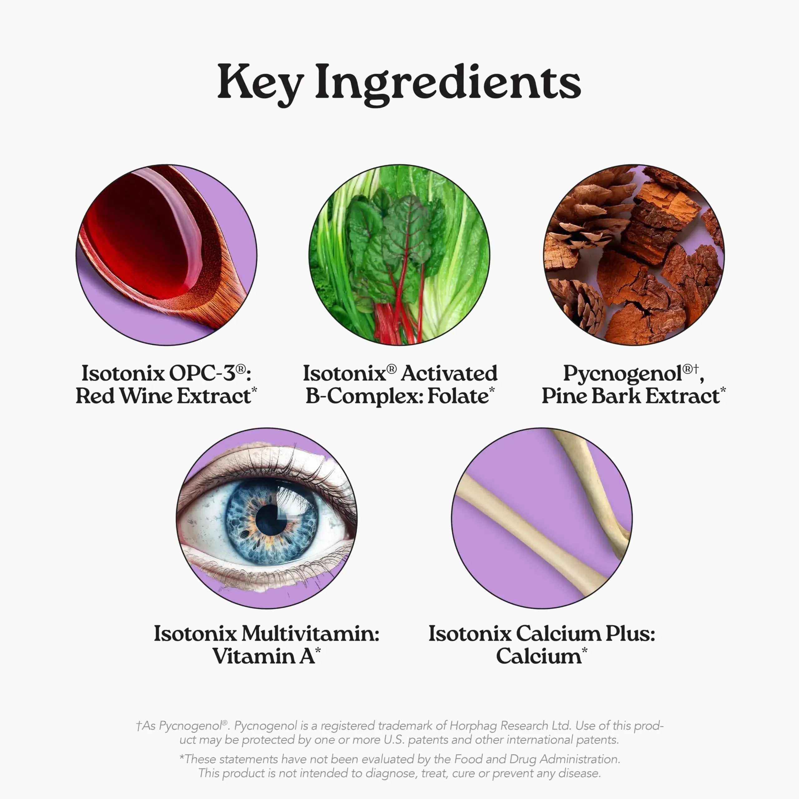 Isotonix® Daily Essentials Multivitamin Powder Packets – 4-in-1 Formula with Multivitamin, Activated B-Complex, Calcium Plus Isotonix Au supplements
