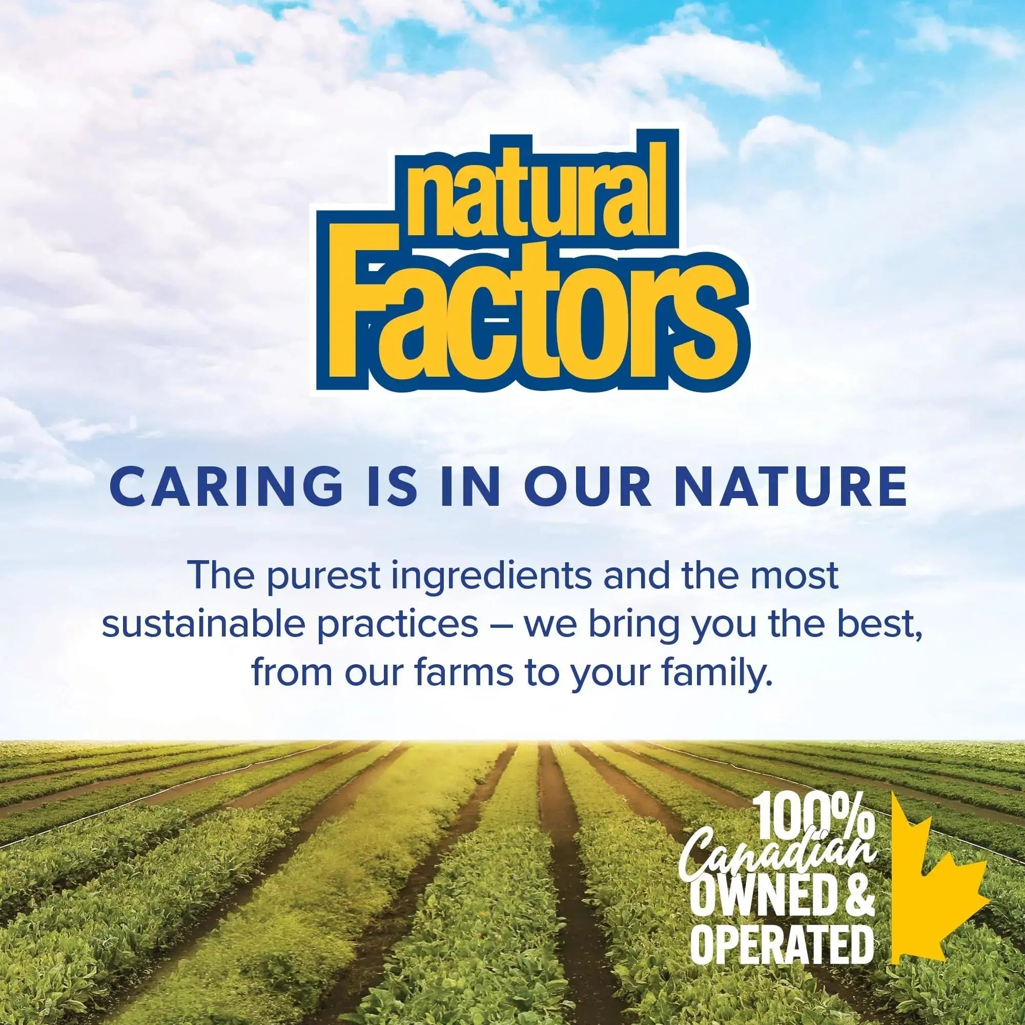 Natural Factors B12 Methylcobalamin, 10,000 mcg, Cherry, 30 Chewable Tablets Natural Factors Au supplements