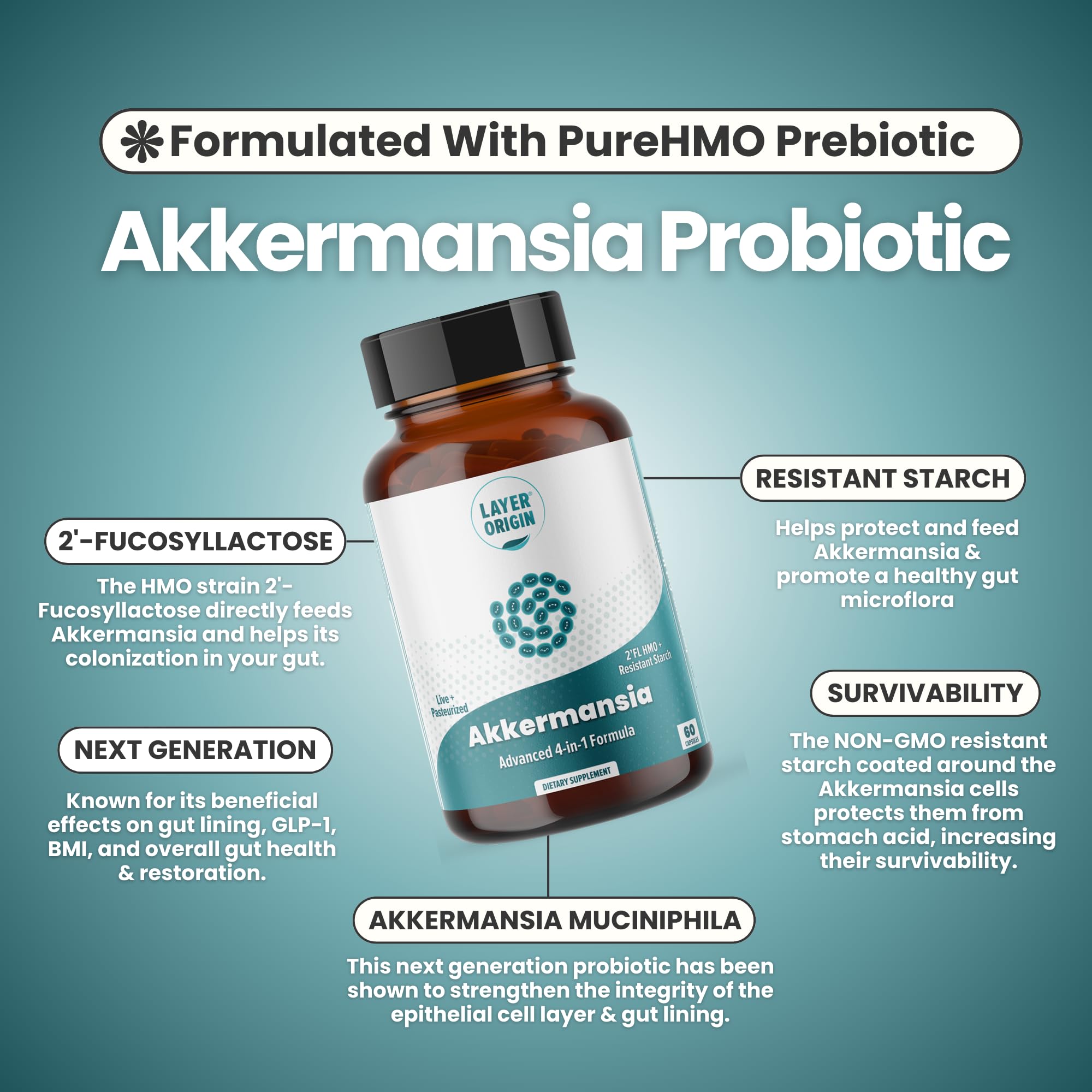 Layer Origin Akkermansia muciniphila Probiotic, with Both Live + Pasteurized Akkermansia and PureHMO Prebiotic, Validated Strain, Updated 4-in-1 Formula