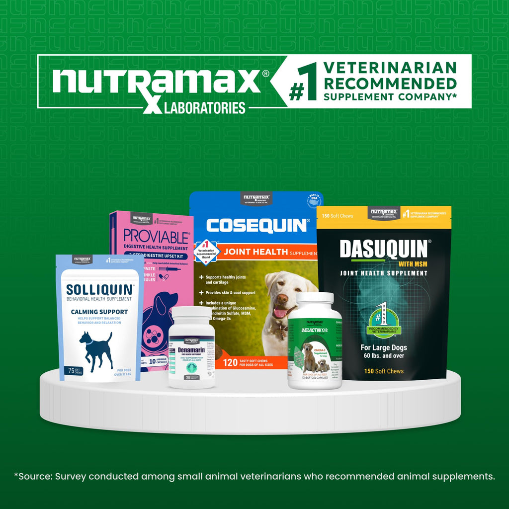 Nutramax Cobalequin B12 for Dogs, Oral Cobalamin Supplement with Folate, Vitamin B12 for Dogs Over 22 lbs., Supports GI Health, Chewable Tablets, 45 Count