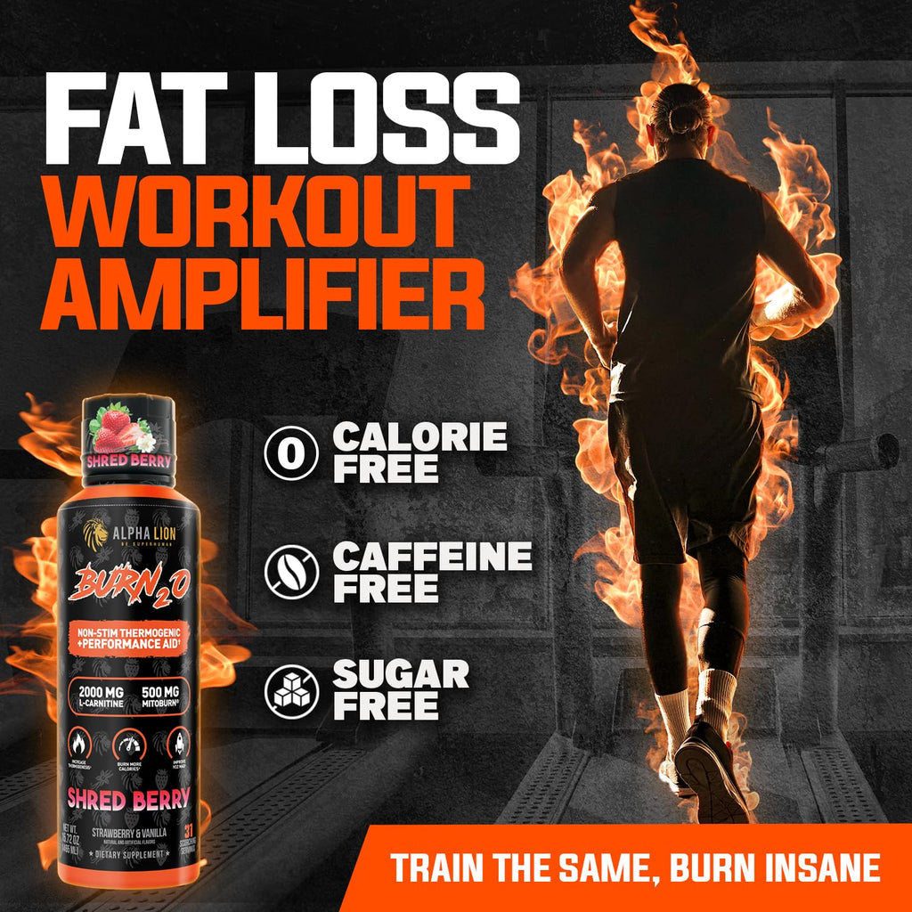 ALPHA LION Burn2O L-Carnitine Liquid 2000mg, Premium Liquid Fat Burner & Pre-Workout Supplement for Men & Women - Natural Energy & Metabolism Booster
