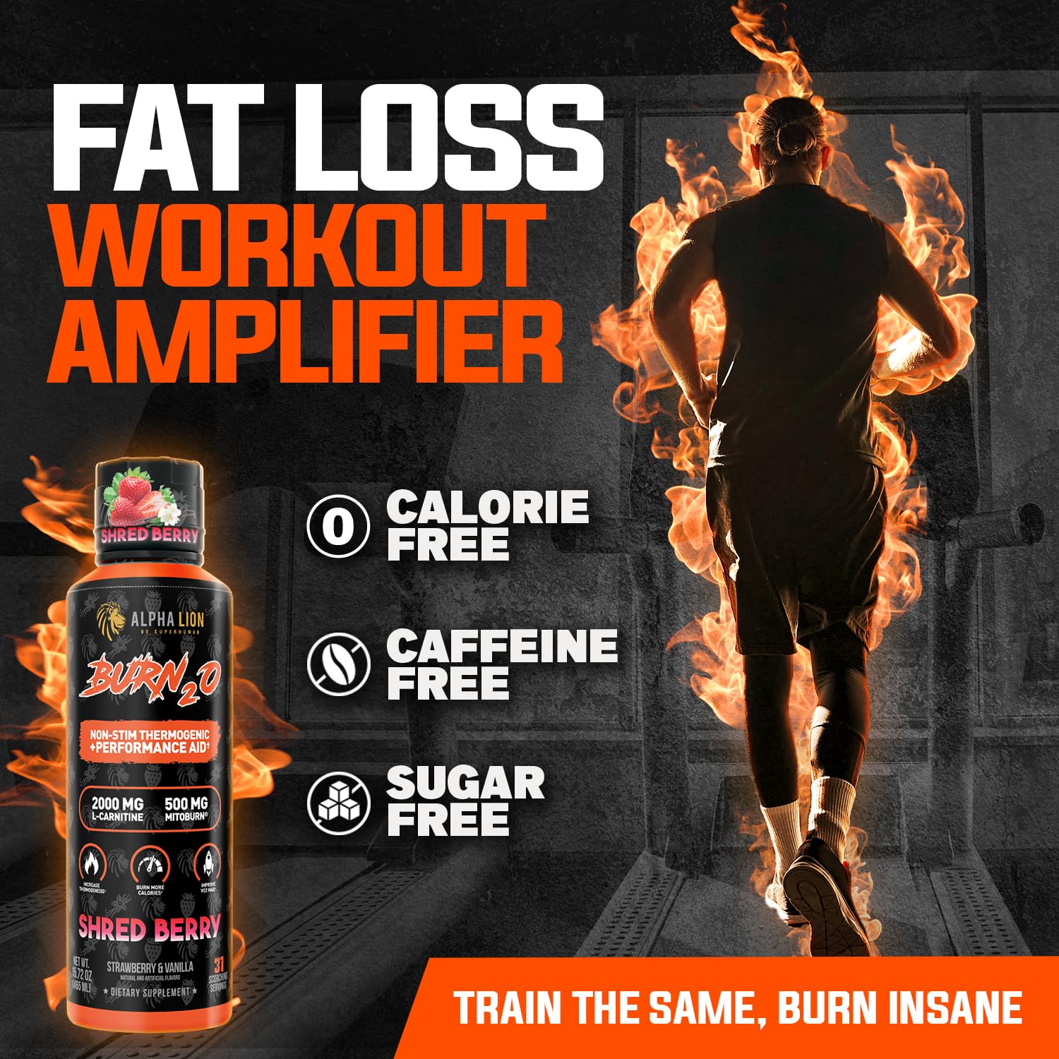 ALPHA LION Burn2O L-Carnitine Liquid 2000mg, Premium Liquid Fat Burner & Pre-Workout Supplement for Men & Women - Natural Energy & Metabolism Booster