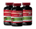 Immunity Support Supplement - Candida Away Plus - Candida Digestive - Candida Cleanse Extra Strength Health Solution Prime Au supplements