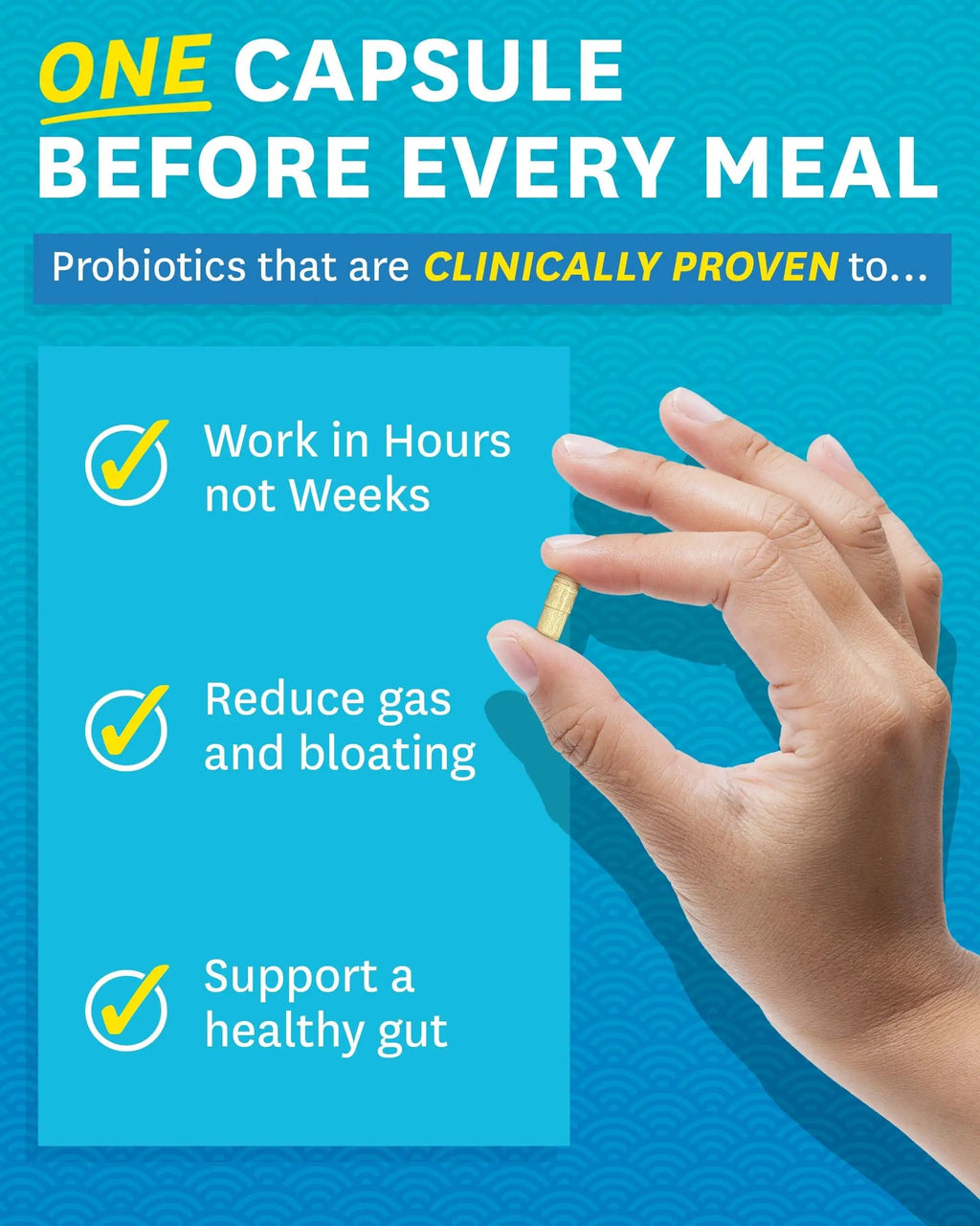 Zenwise Health Digestive Enzymes - Probiotic Multi Enzymes with Probiotics Zenwise Health Au supplements