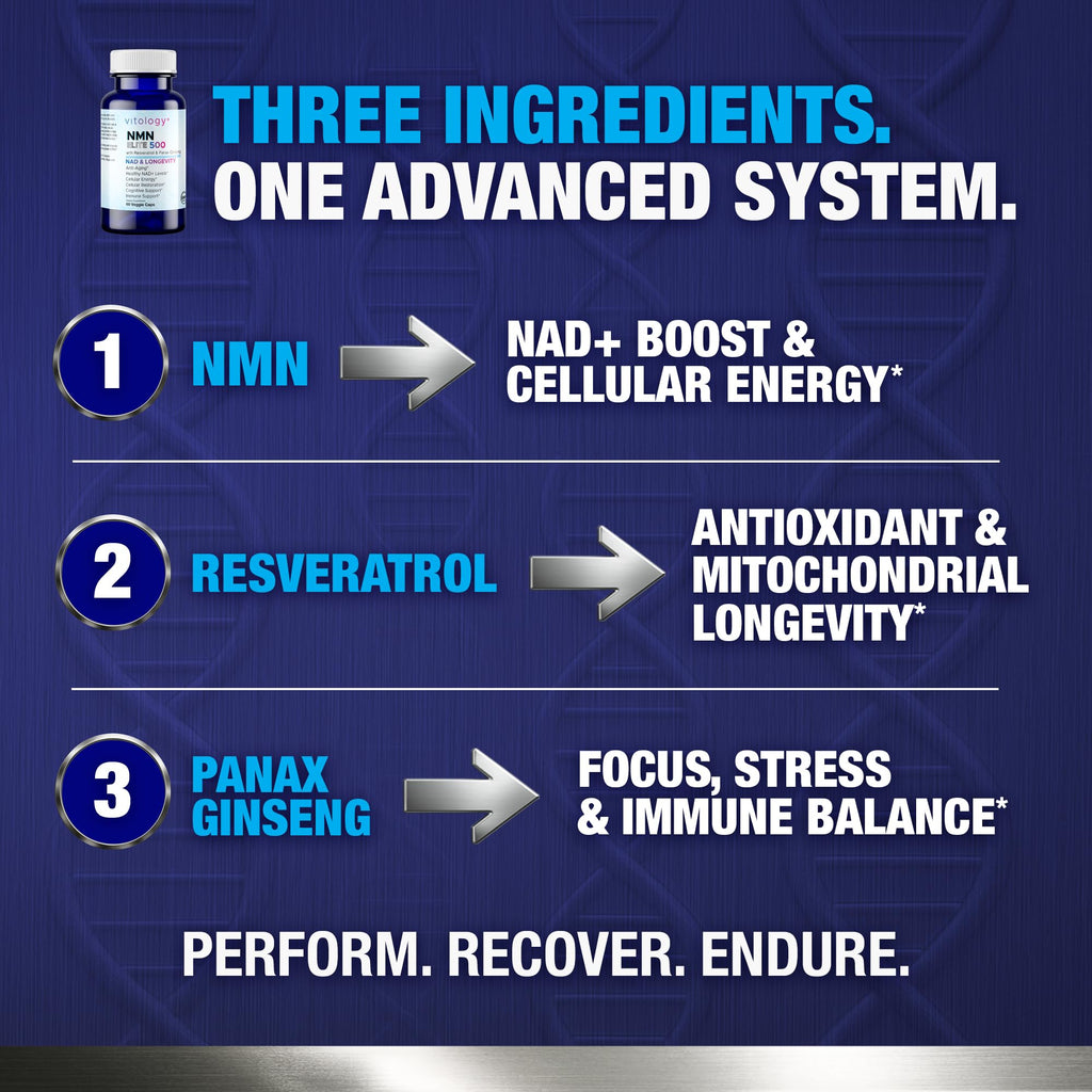 Vitology NMN Elite 500 – NMN 500mg, Resveratrol 200mg, Panax Ginseng 300mg – NAD+ Cellular Energy & Longevity Support Supplement – Focus, Vitality & Anti-Aging Formula – Non-GMO, Vegan Capsules Vitology Au supplements