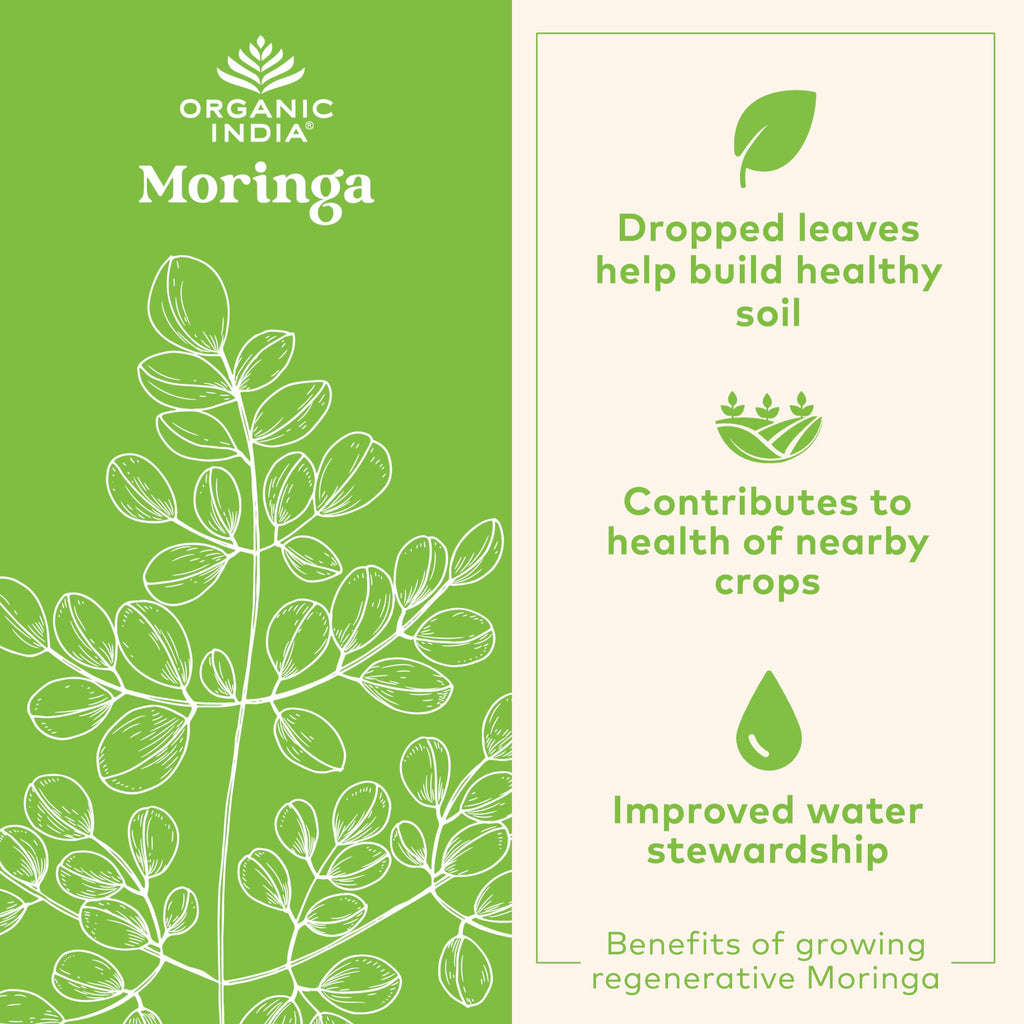 ORGANIC INDIA Moringa Herbal Supplement - Green Superfood, Nutrient Dense, Pure Plant Protein, Vitamin A, E, K, Iron, Calcium, Fiber, Vegan