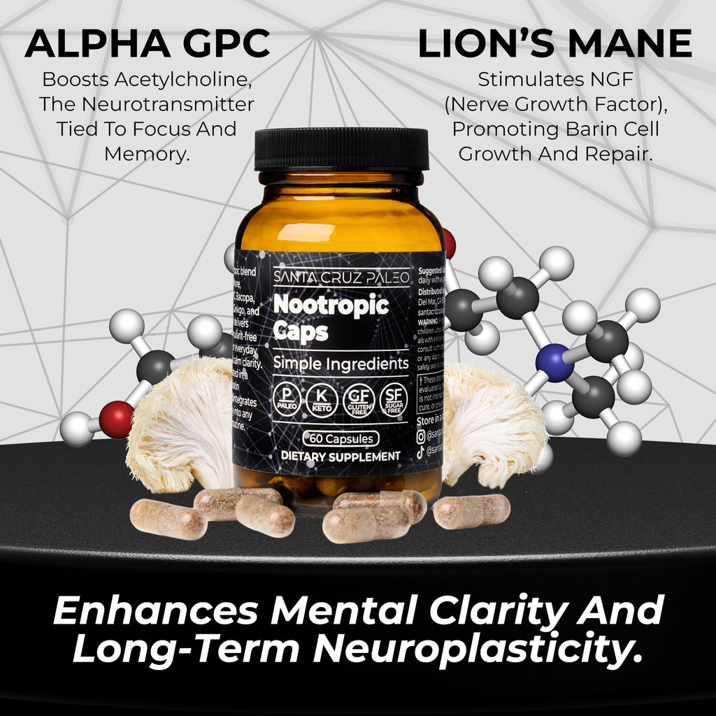 Santa Cruz Paleo Nootropic Capsules – Lions Mane, Alpha GPC, Panax Ginseng & Ginkgo Biloba for Focus, Memory, Mental Clarity & Energy – Keto, Paleo, Gluten Free Brain Supplement, 60 Caps Santa Cruz Paleo Au supplements