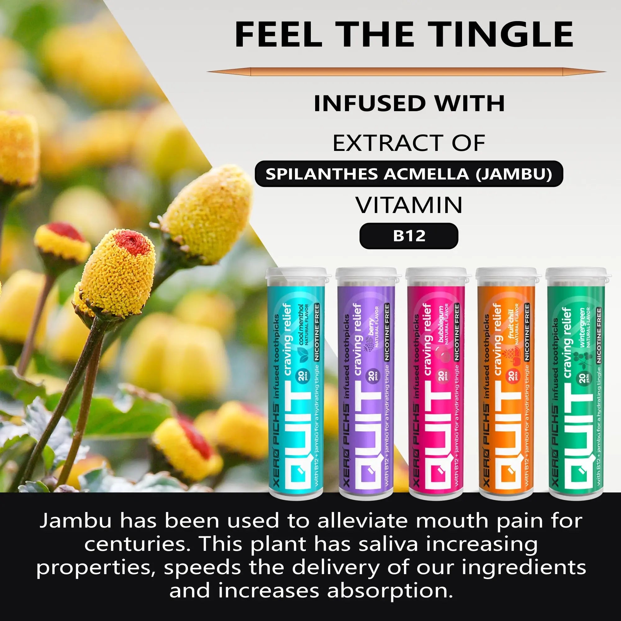 Xero Picks Infused Flavored Toothpicks to Help Quit Smoking - Nicotine Xero Picks Au supplements