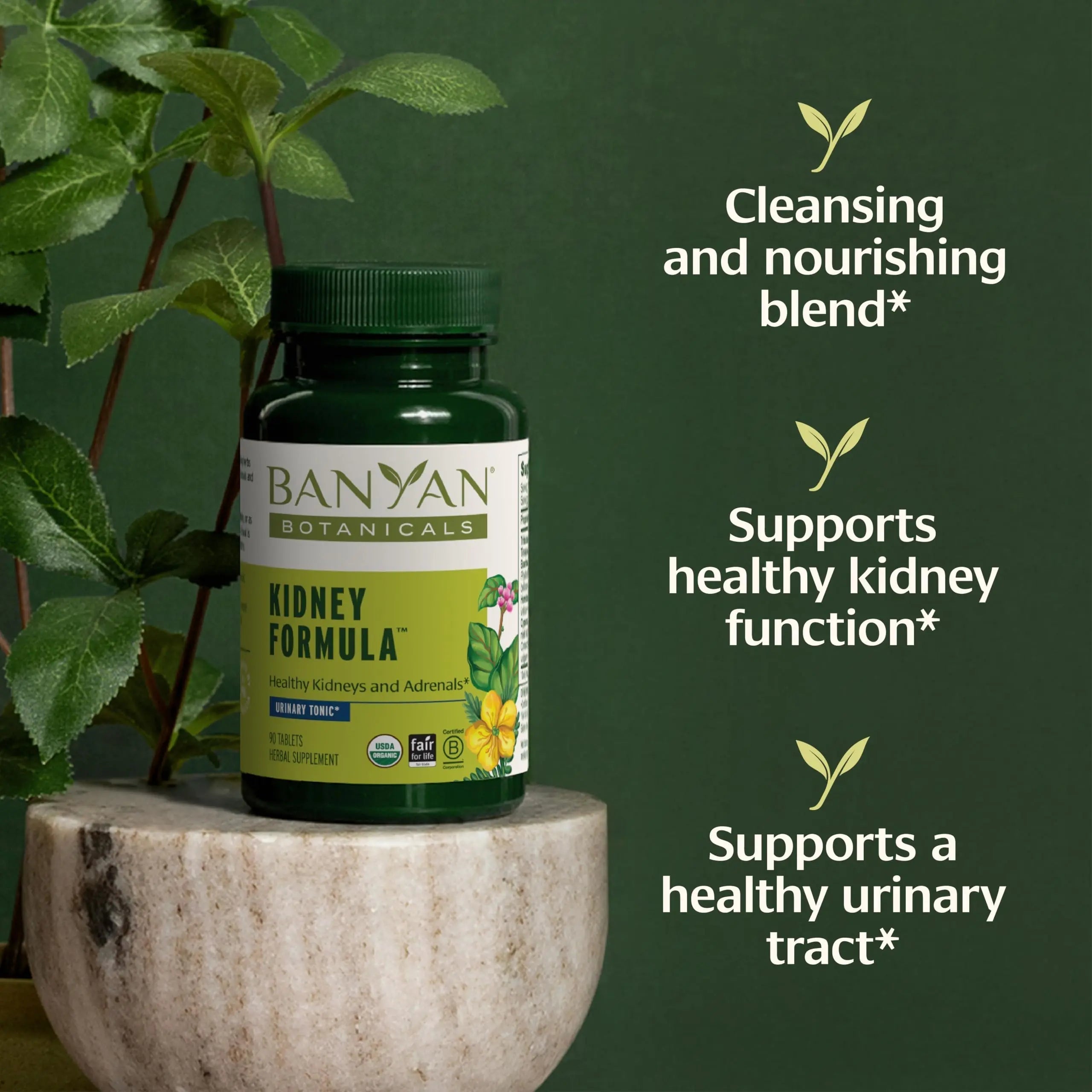 Banyan Botanicals Organic Kidney Formula–Urinary Tract Support & Detox Supplement–Gokshura & Punarnava for Fluid Balance & Systemic Cleansing–Cooling Genitourinary Tonic-90 Tablets-USDA Organic Banyan Botanicals Au supplements