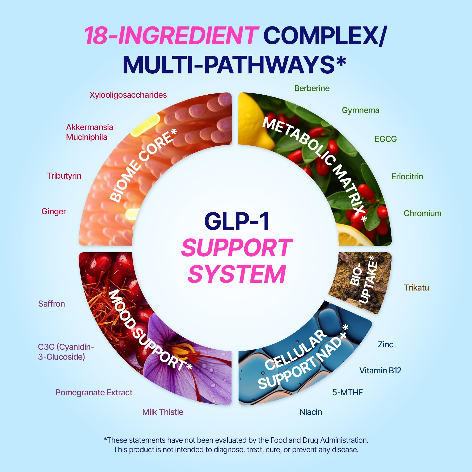 GLP-1 Support – Akkermansia Postbiotic 10B TFU + Berberine HCl 250 mg | 18-Ingredient System | Appetite, Mood & Metabolic Support | Inulin-Free | Saffron, NAD+ Cofactors | 3 Pack | 90-Day Supply ANTROLIFE Au supplements