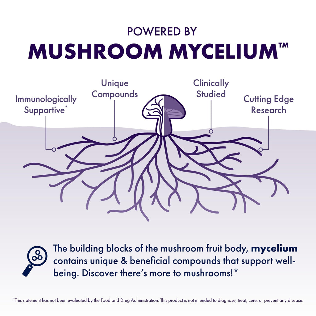 Host Defense MycoBotanicals Brain* Capsules - Brain Support Supplement with Lion's Mane, Reishi & Cordyceps Mushroom - Herbal Supplement for Memory & Focus Support - 60 Capsules Host Defense Au supplements