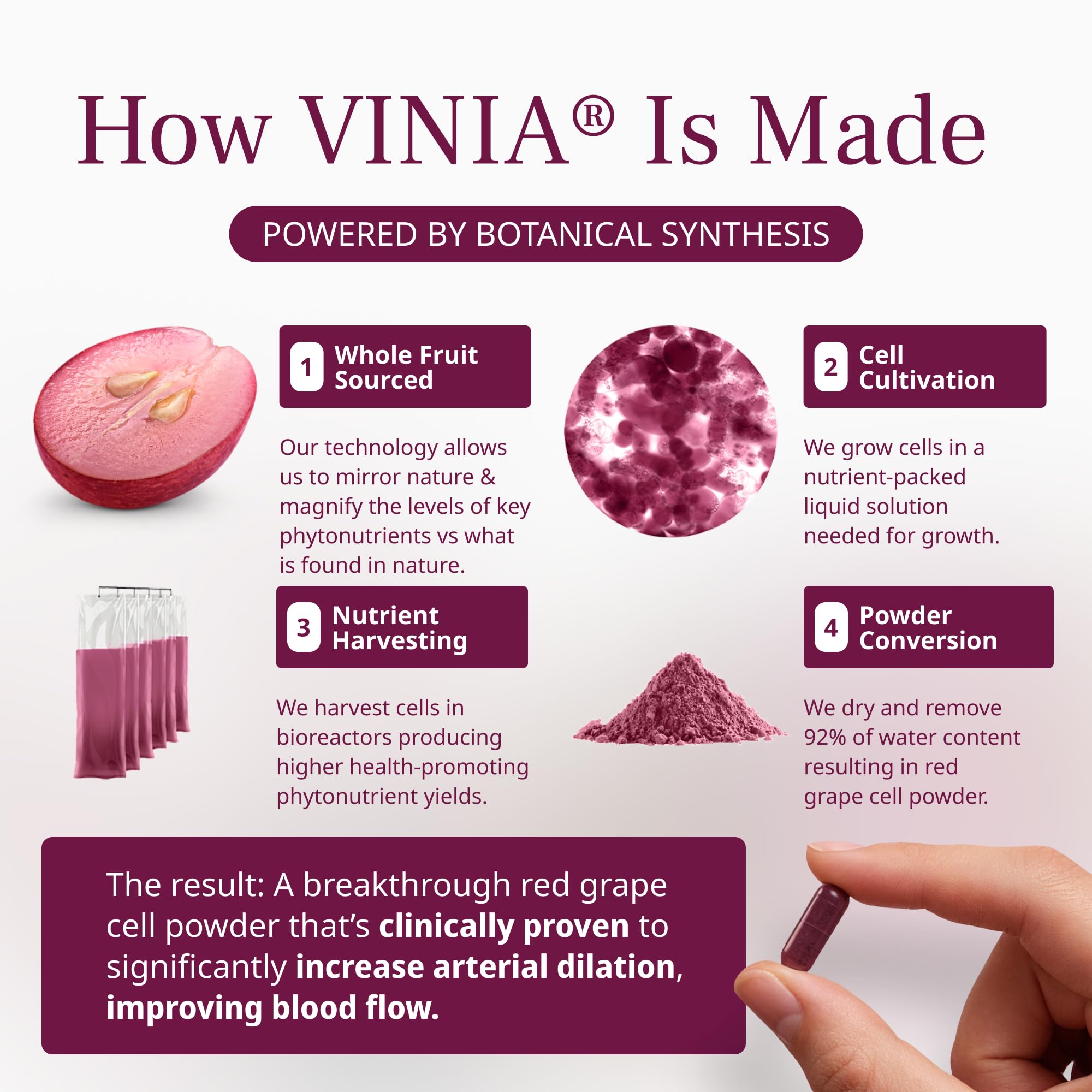 VINIA Piceid Resveratrol Supplement Capsules. Increases Blood Flow and Nitric Oxide. Blood Pressure and Heart Health Support