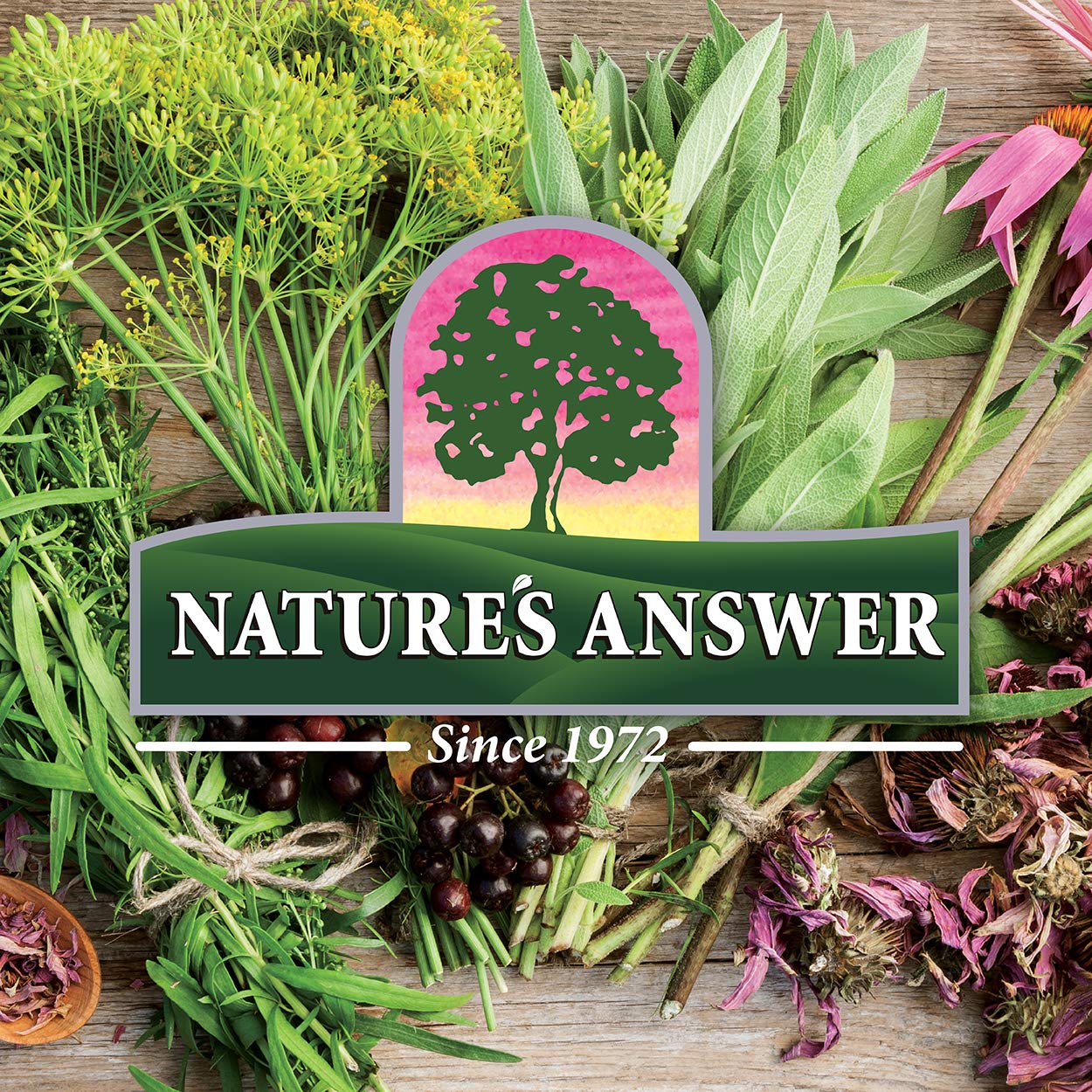 Nature's Answer Mullein Herb - Mullein Leaf Extract for Lungs - Alcohol Free, Non GMO, Made in USA - Supports Respiratory Function & Promotes Healthy Lungs