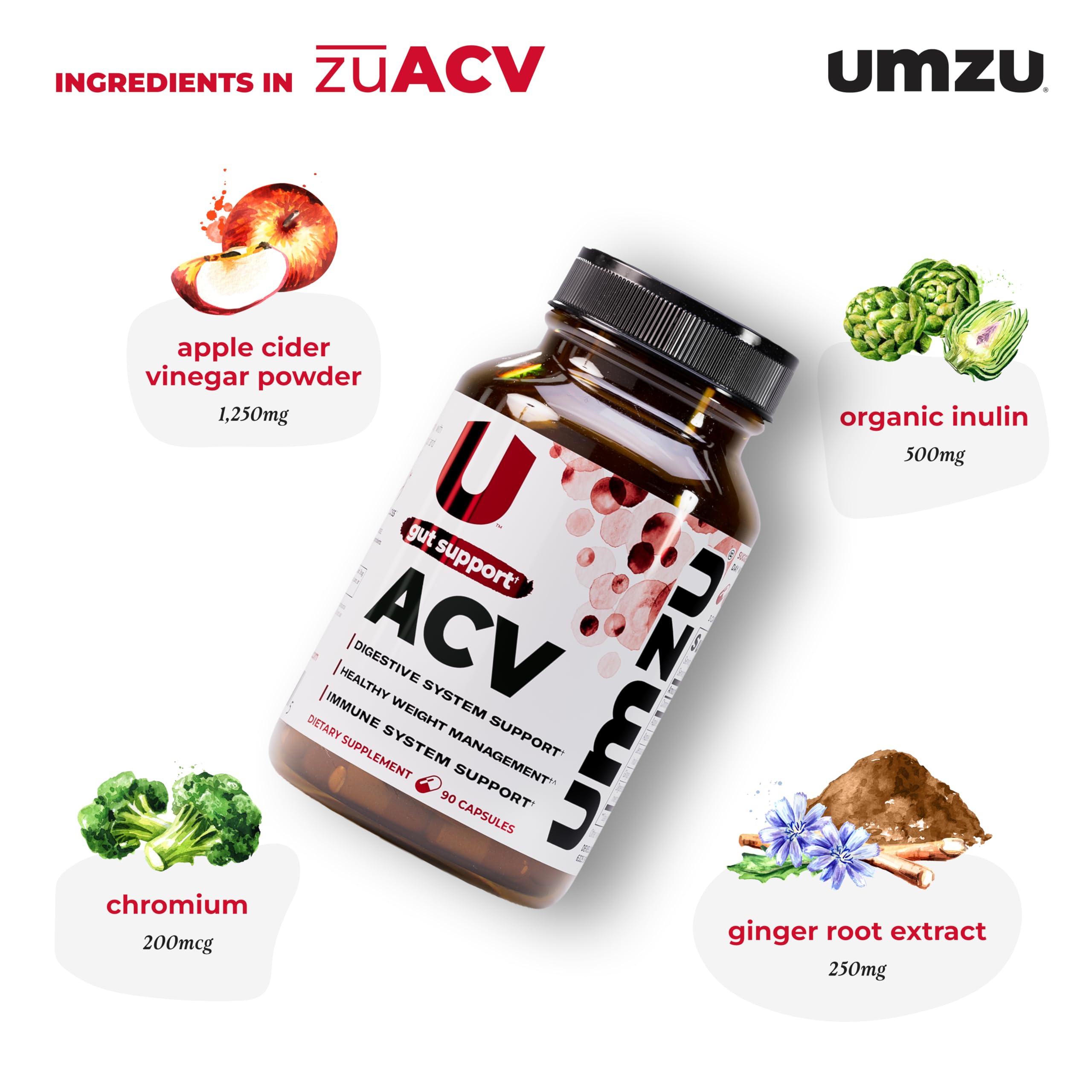 UMZU zuACV Apple Cider Vinegar + Prebiotics Supplement, (30 Day Supply) – ACV & Inulin Fiber Blend – Gut Health Support with ACV Capsules