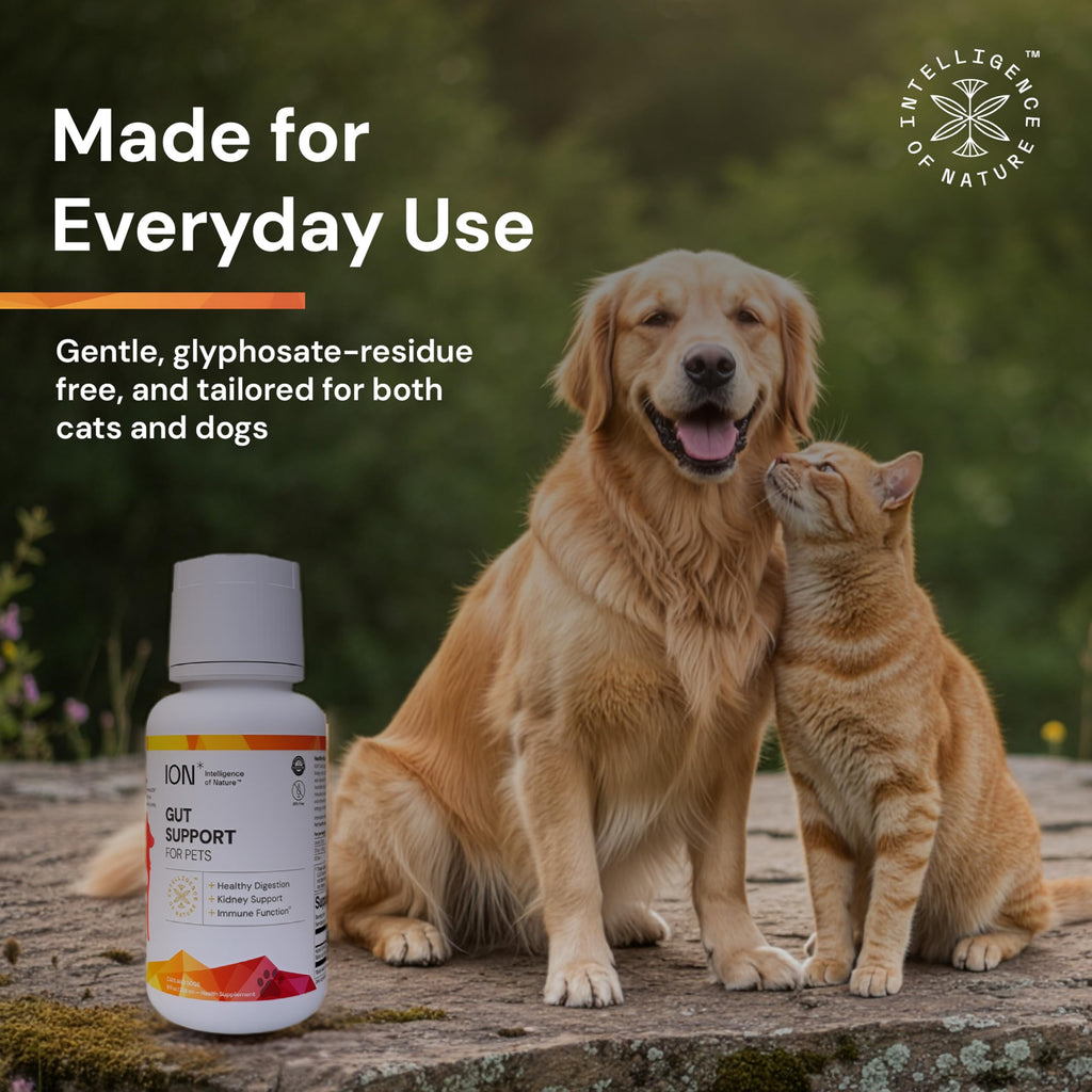 ION* Intelligence of Nature Gut Support For Pets - Liquid Probiotics Drops Alternative for Dogs & Cats, Digestive Health for Puppies, Skin & Hair Health - 16 fl oz (Pack of 1)