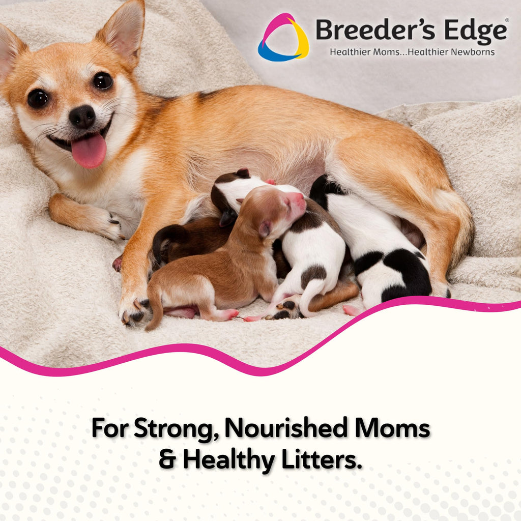 Breeder's Edge Oxy Momma Soft Chews, Postnatal Vitamin Supplement for Lactating Dogs and Cats, Supports Recovery, Hormones, and Next Pregnancy - for Small Dogs & Cats, 40ct Soft Chews Revival Animal Health Au supplements