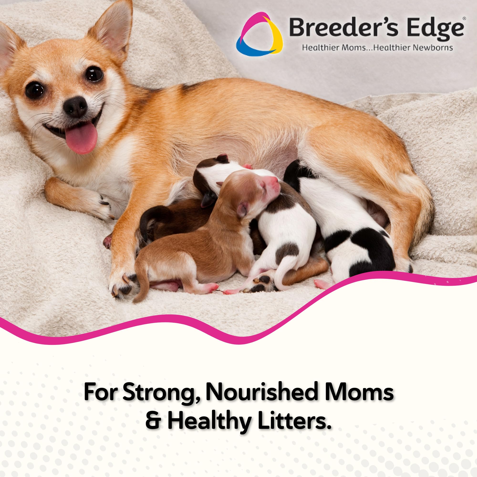 Breeder's Edge Oxy Momma Soft Chews, Postnatal Vitamin Supplement for Lactating Dogs and Cats, Supports Recovery, Hormones, and Next Pregnancy - for Small Dogs & Cats, 40ct Soft Chews Revival Animal Health Au supplements