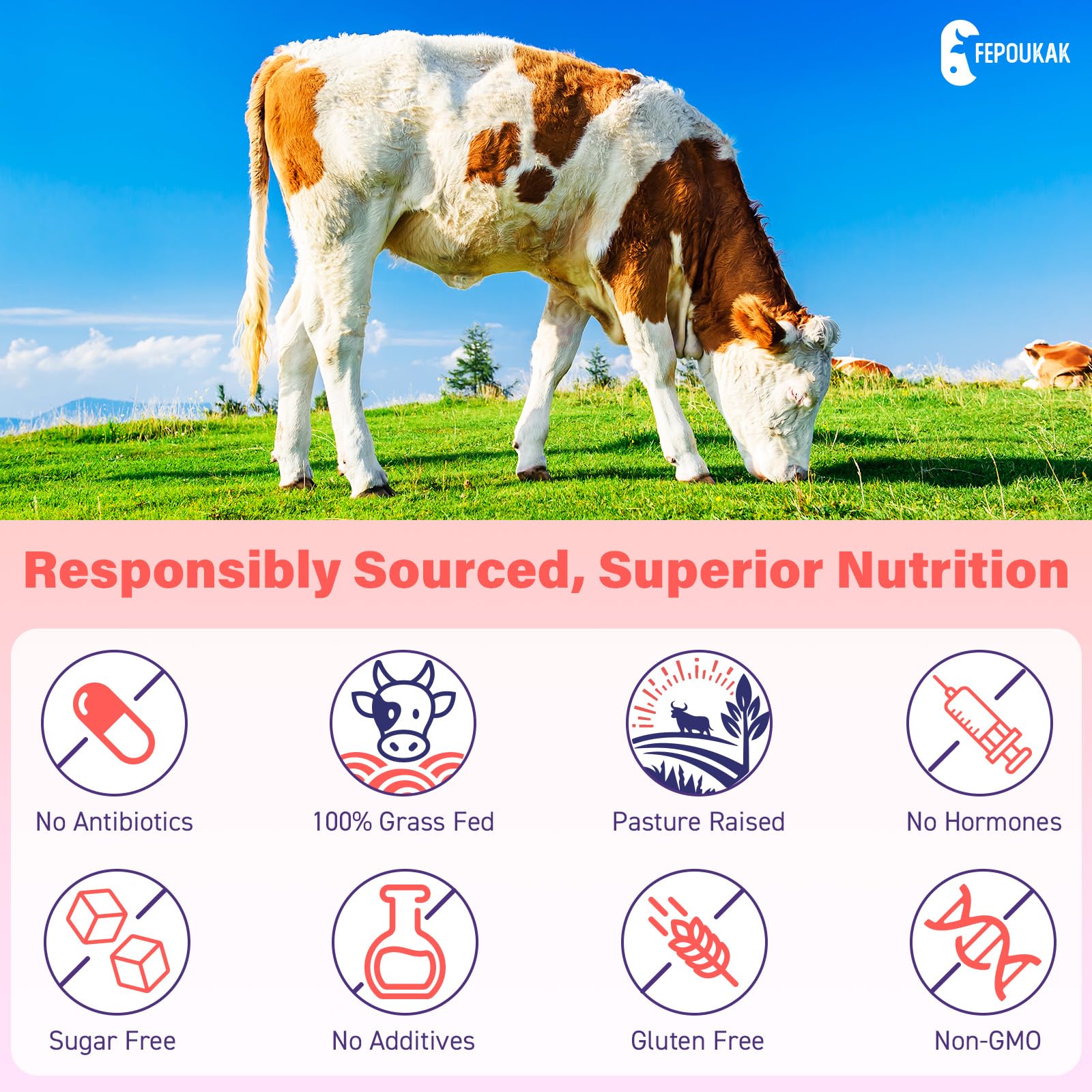 (180 Gummies) Beef Organ Supplement for Women - 5300mg Beef Liver, Kidney, Uterus & 10 More, for Hormone Balance, Menstruation, Energy, Immunity, Gut & Skin Health - 100% Grass Fed & Pasture Raise Fepoukak Au supplements