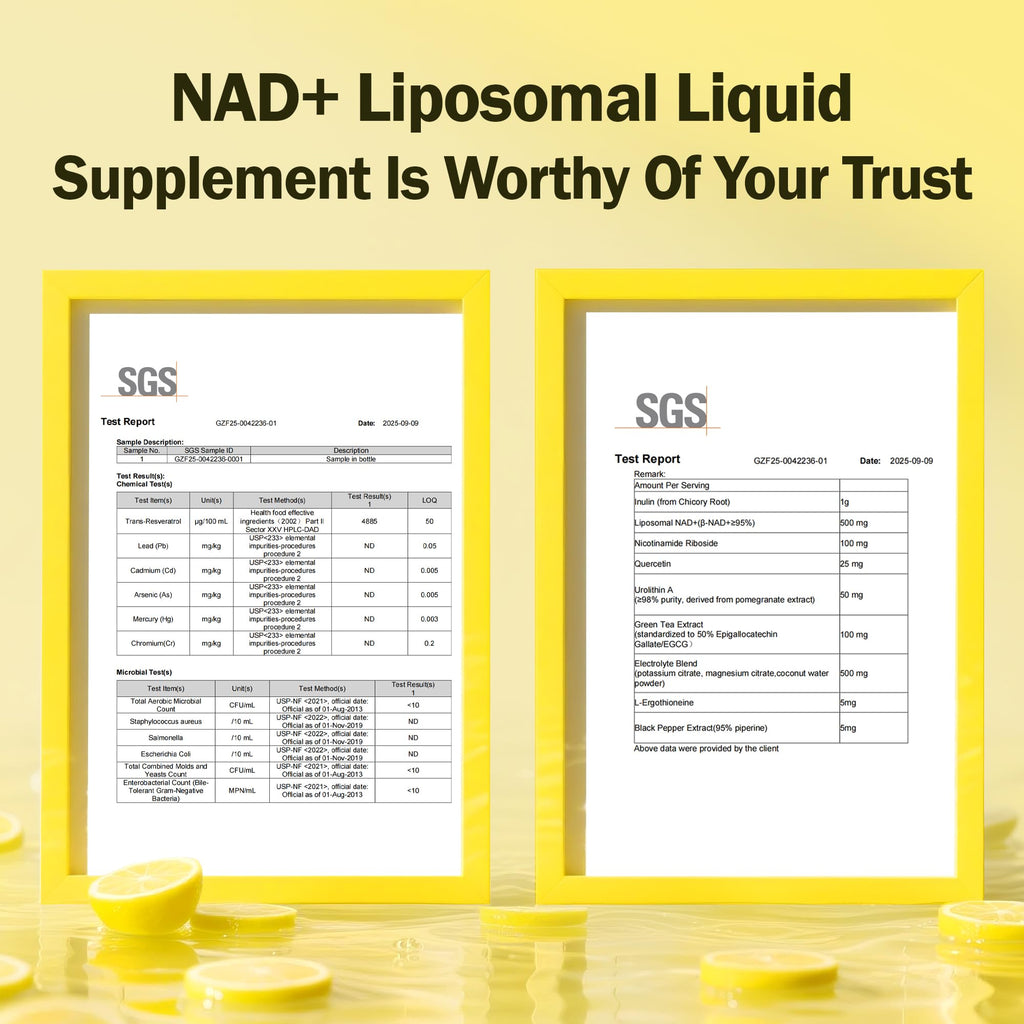 Liposomal NAD+ Liquid Supplement - Designed to Help Support Absorption - Nhanced Cellular Uptake, Helps Support Normal Cellular Health, Supports Cellular Energy Metabolism and Vitality - Lemon Flavor BAKAKOUL Au supplements