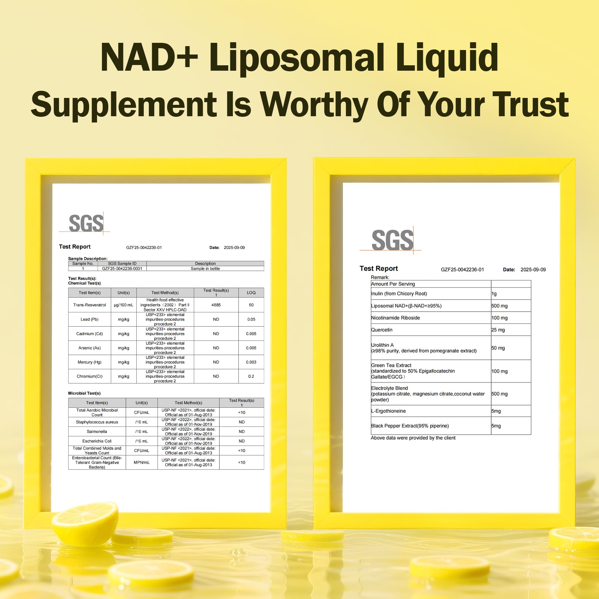 Liposomal NAD+ Liquid Supplement - Designed to Help Support Absorption - Nhanced Cellular Uptake, Helps Support Normal Cellular Health, Supports Cellular Energy Metabolism and Vitality - Lemon Flavor BAKAKOUL Au supplements