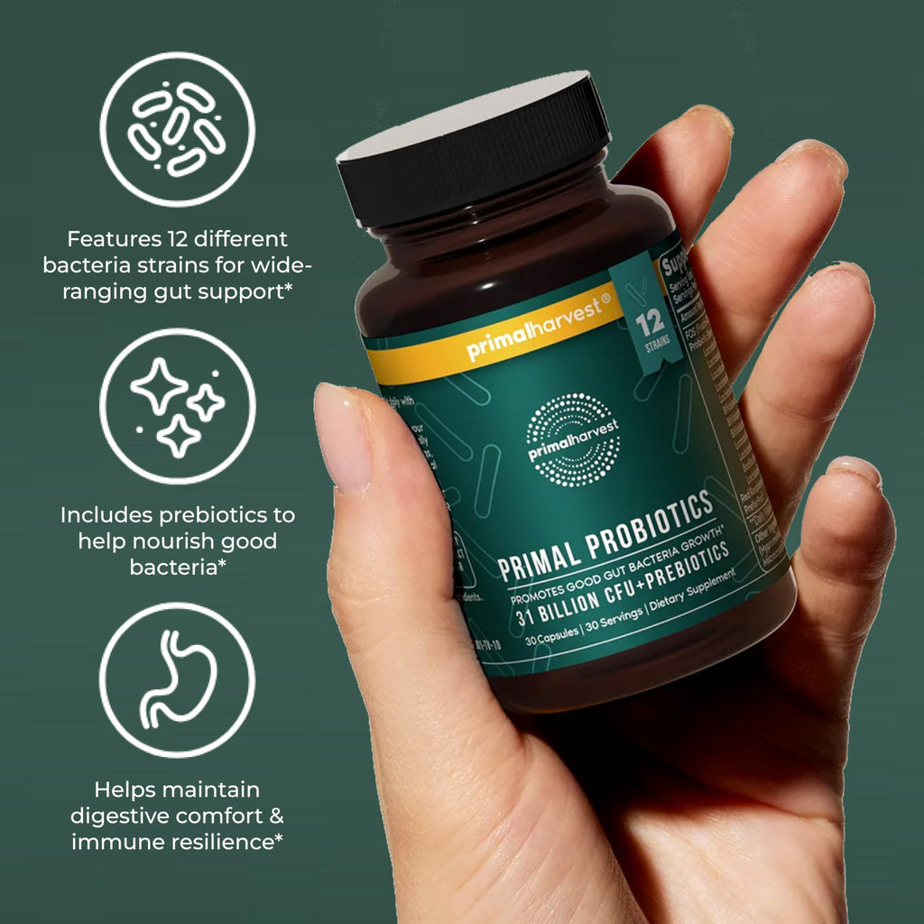 Primal Harvest Probiotics for Women & Men Daily Probiotic Supplement with 12 Strains for Gut & Digestive Health 30 Capsules Primal Harvest Au supplements