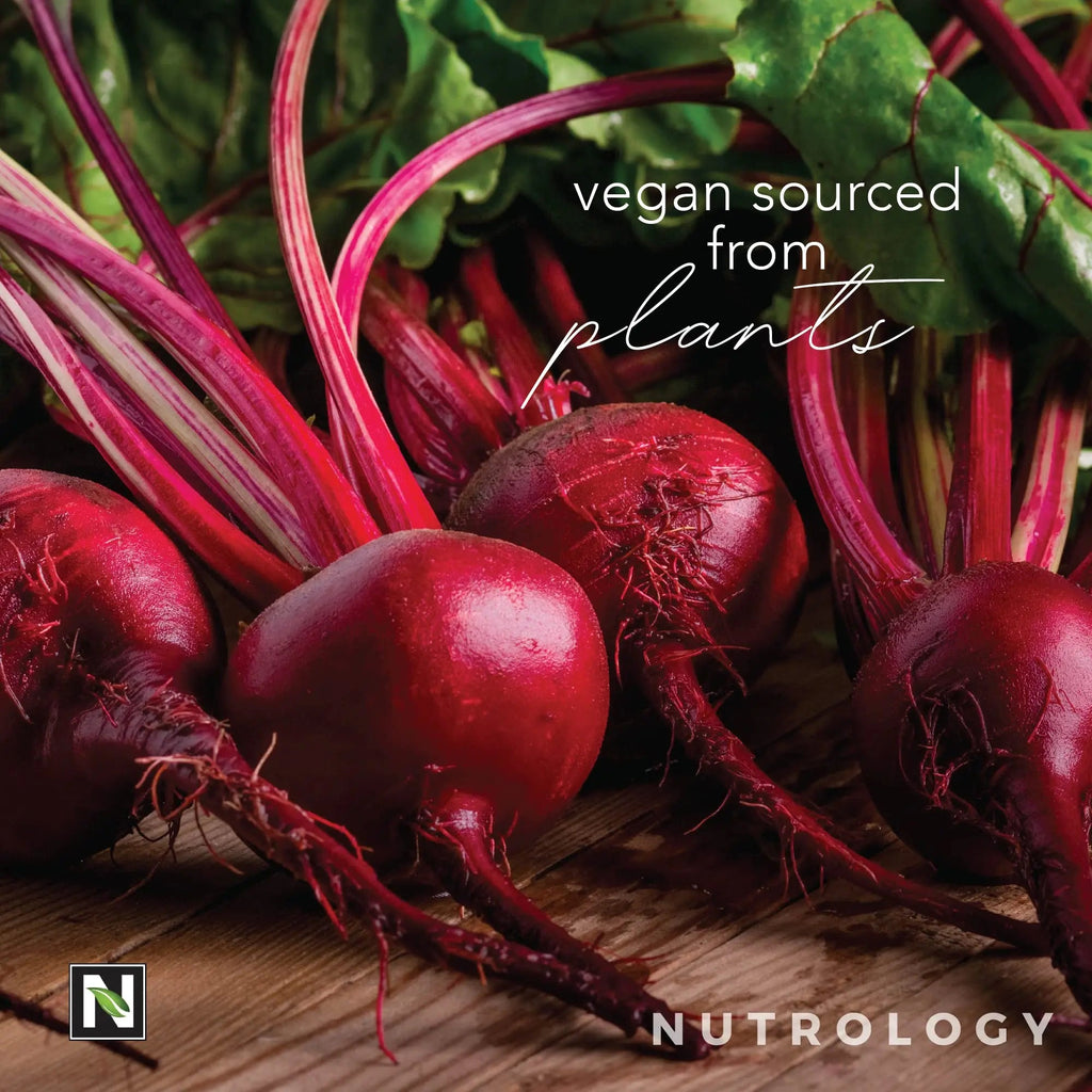 Nutrology Beet Active, Natural Pre-Workout Powder, Supports Energy, Endurance & Nitric Nutrology Au supplements