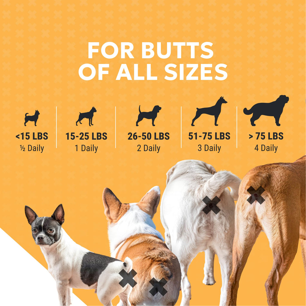 Nutramax Filaquin Anal Gland Supplement for Dogs, from The Same Company as Cosequin & Proviable, with Pre & Postbiotics and Psyllium Husk Fiber to Support Anal Gland Health, 90 Count Soft Chews Nutramax Laboratories Au supplements