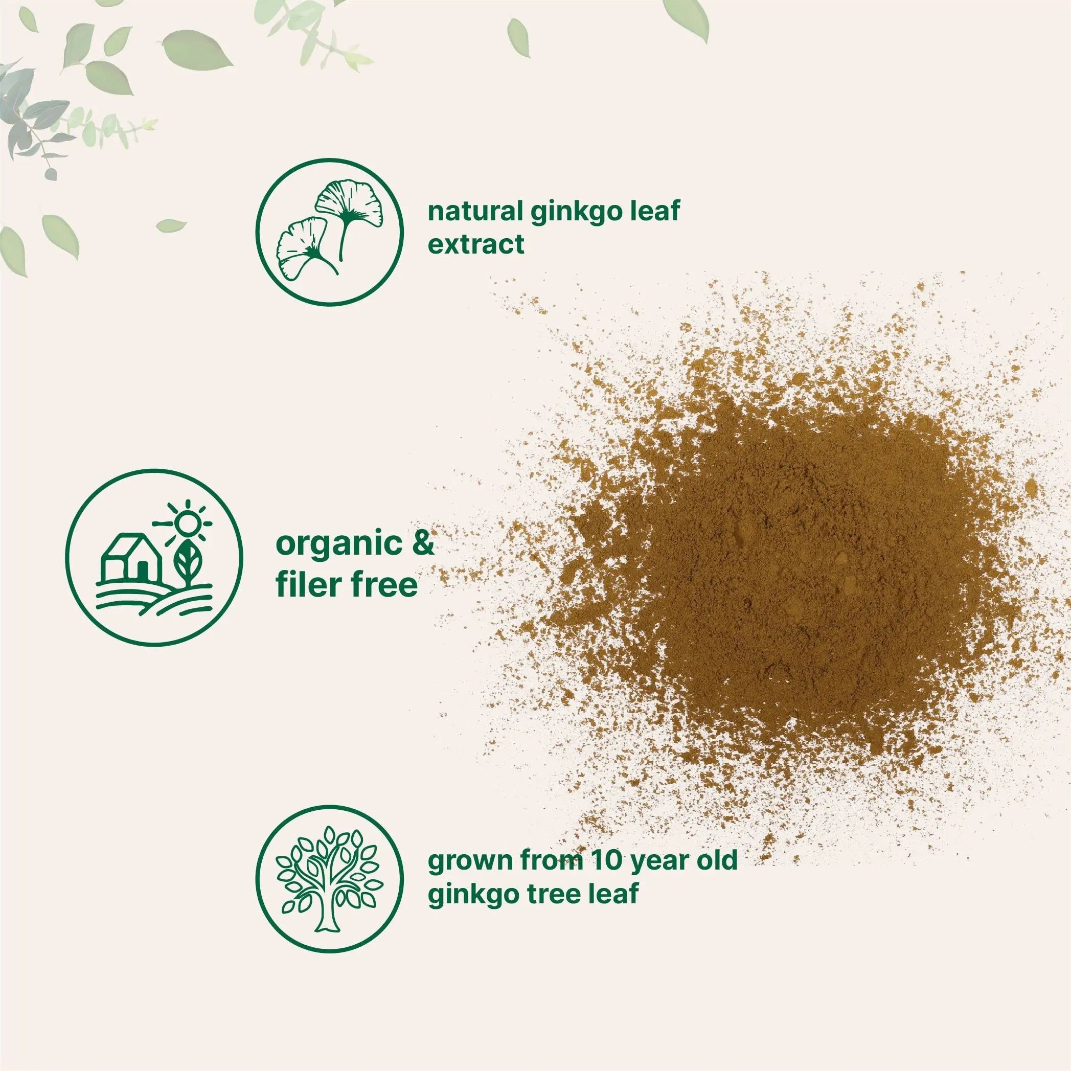 Micro Ingredients Raw Organic Ginkgo Biloba Powder, 8 Ounce (18 Months Supply) Micro Ingredients Au supplements