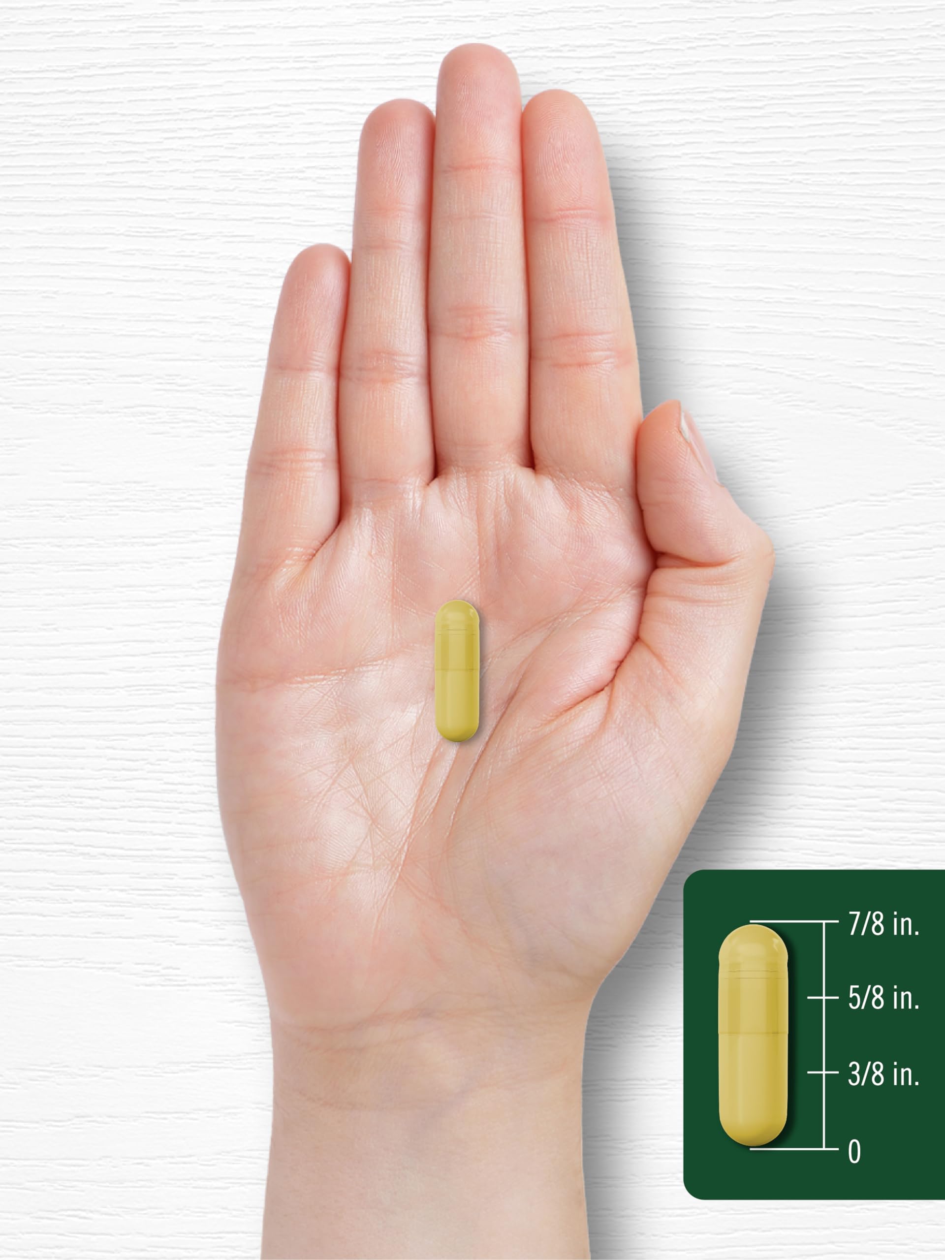 Carlyle Berberine HCL Supplement | 500,000mcg | 60 Capsules | Vegetarian, Non-GMO, Gluten Free