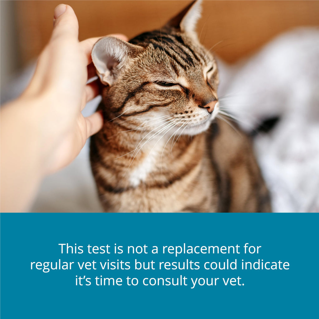 Petivity At-Home Kidney Health Test Kit for Cats — Quick Saliva Urea Test (2-Minute Home Check), Powered by Purina — Help Detect Early Kidney Changes - (Pack of 3) petivity Au supplements