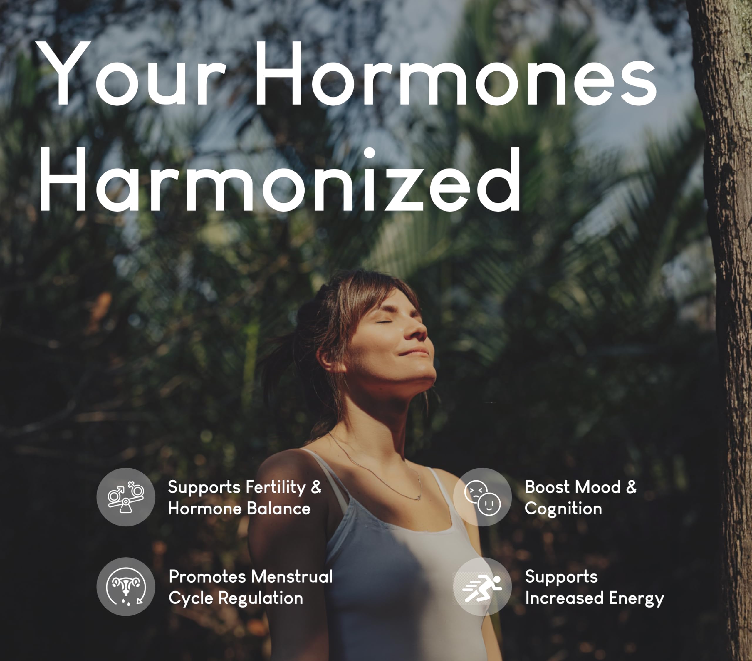Beef Organ Supplement for Women | Supports Hormone Balance | Ovary, Uterus & Reproductive Nourishment + Liver, Kidney & Heart for Cycle Harmony