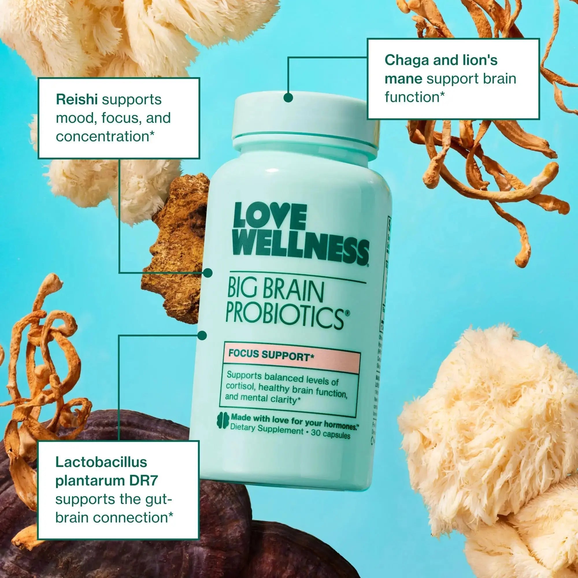 Love Wellness Daily Love Multivitamin & Big Brain Probiotics | Mind and Body Duo | Womens Vitamin and Probitoic Love Wellness Au supplements