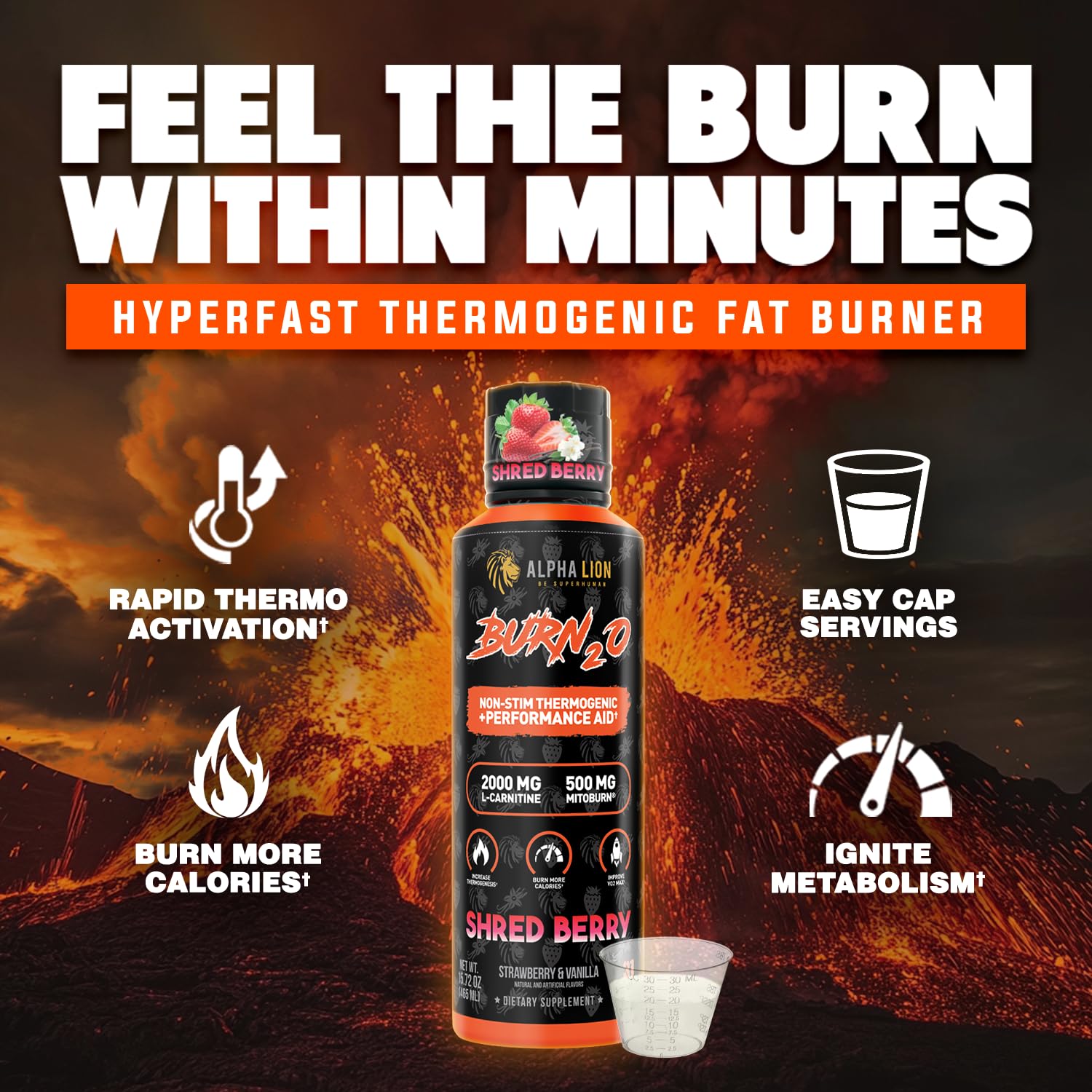 ALPHA LION Burn2O L-Carnitine Liquid 2000mg, Premium Liquid Fat Burner & Pre-Workout Supplement for Men & Women - Natural Energy & Metabolism Booster