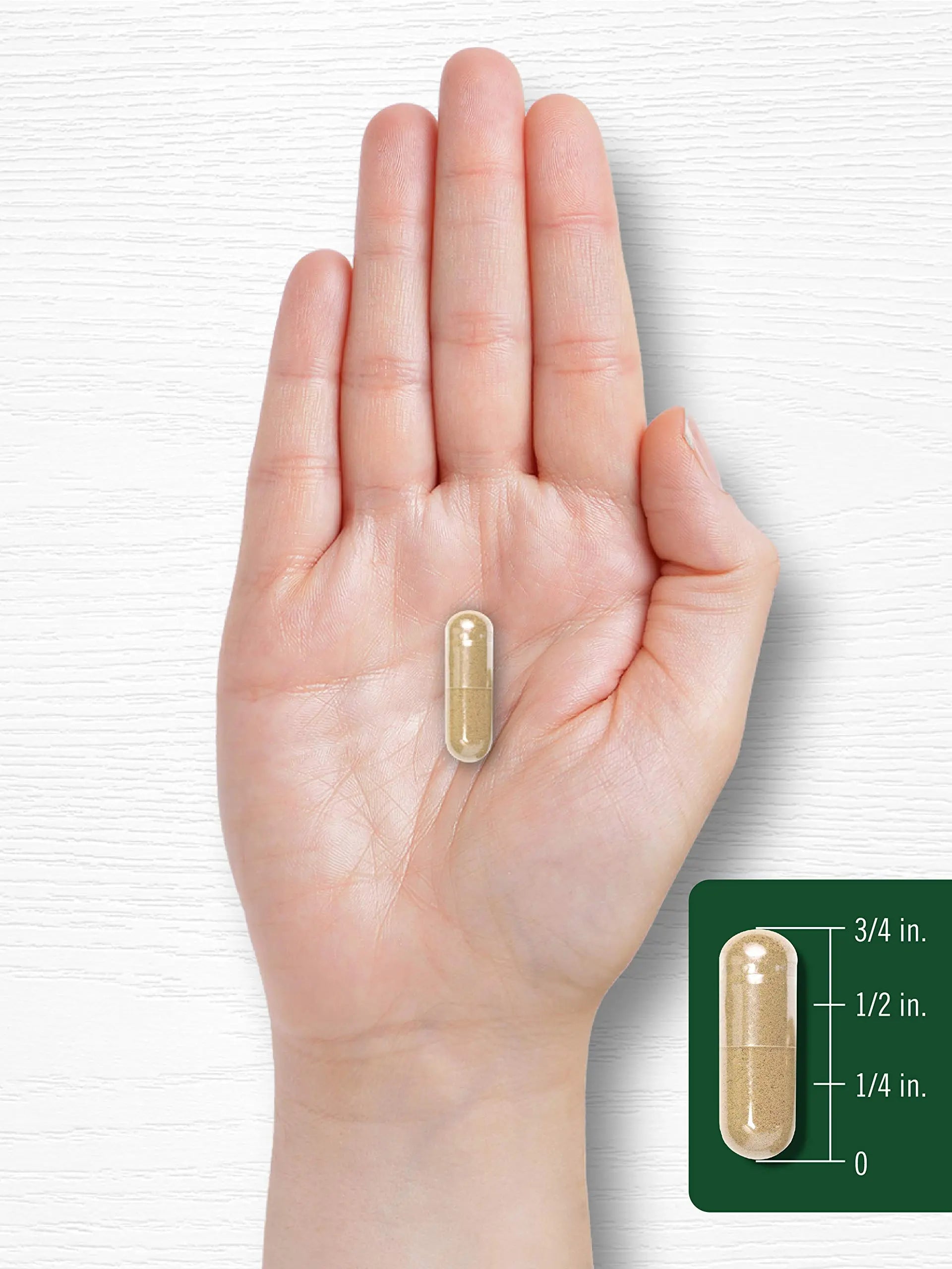 Carlyle Holy Basil Capsules 1600 mg | 200 Count | Tulsi Holy Basil Leaf Extract | Herbal Carlyle Au supplements
