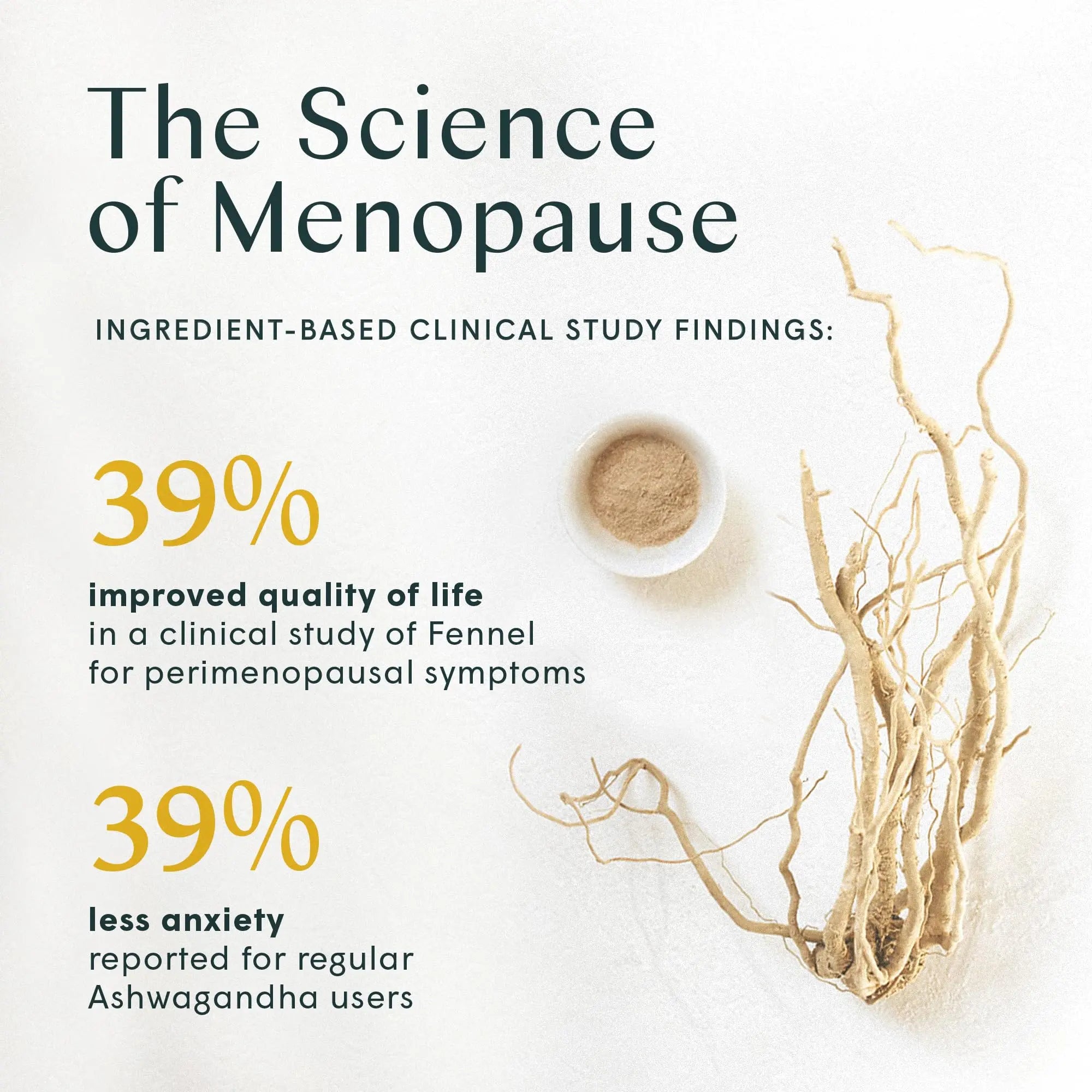 Wile Perimenopause Supplement for Women with Ashwagandha, Kudzu Root, Hops Extract WILE Au supplements