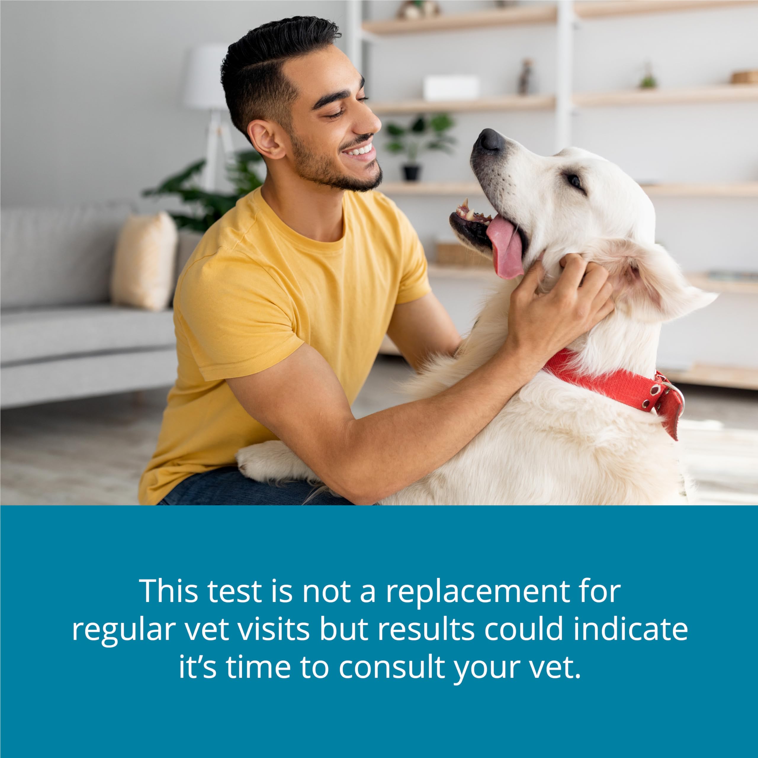 Petivity At-Home Kidney Health Test Kit for Dogs — Quick Saliva Urea Test (2-Minute Home Check), Powered by Purina — Help Detect Early Kidney Changes - (Pack of 3) petivity Au supplements