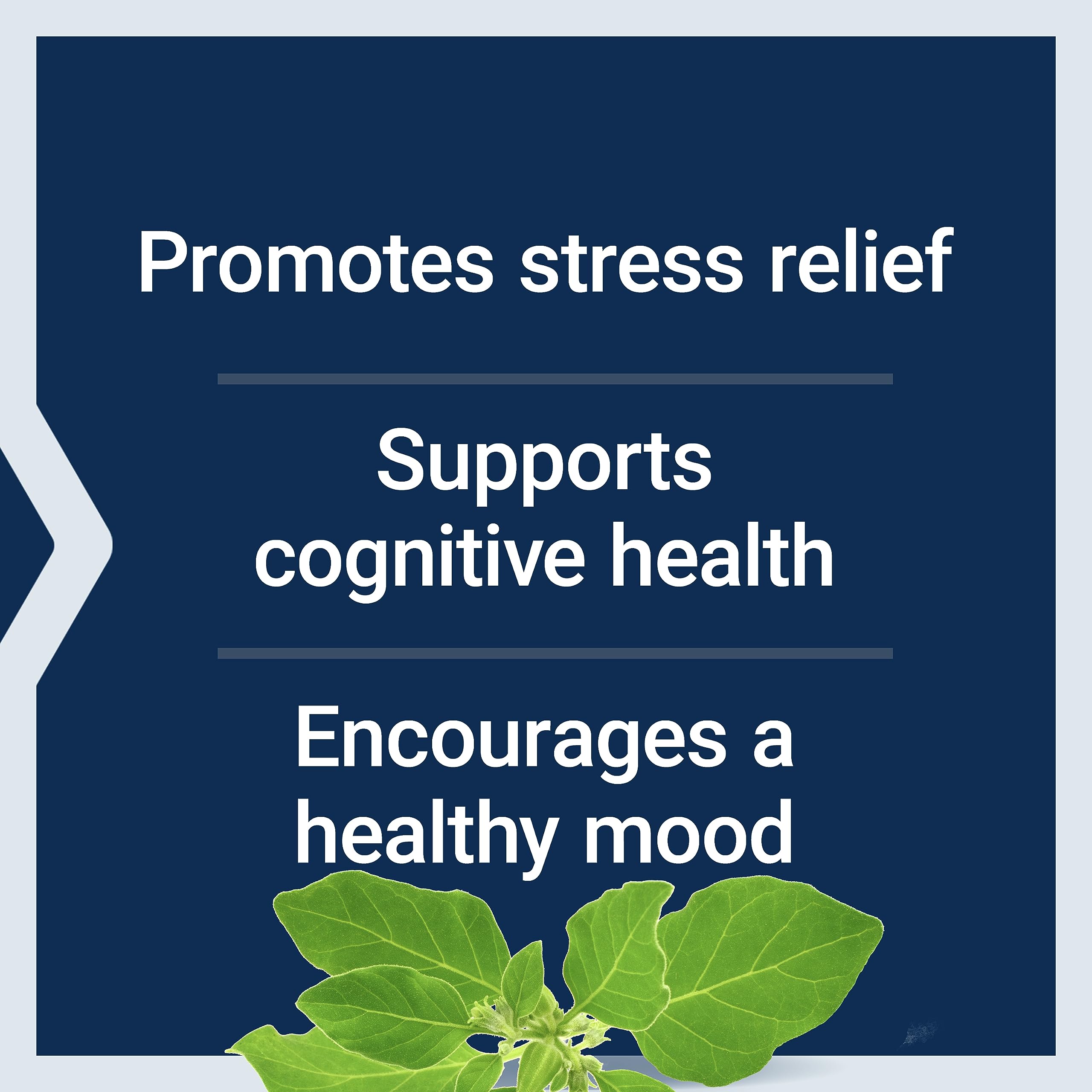 Life Extension Optimized Ashwagandha - Stress Management Supplement for a Healthy Stress Response, Focus, Memory, Stress Relief - Vegetarian, Gluten-Free, Non-GMO, 60 Capsules Life Extension Au supplements