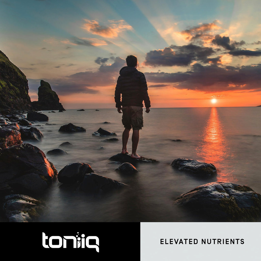 Toniiq Dihydroberberine Supplement - Ultra High Potency 1,000mg Formula with GlucoVantage, 10:1 Ceylon Cinnamon & 50:1 Milk Thistle - Third-Party Lab Tested Toniiq Au supplements