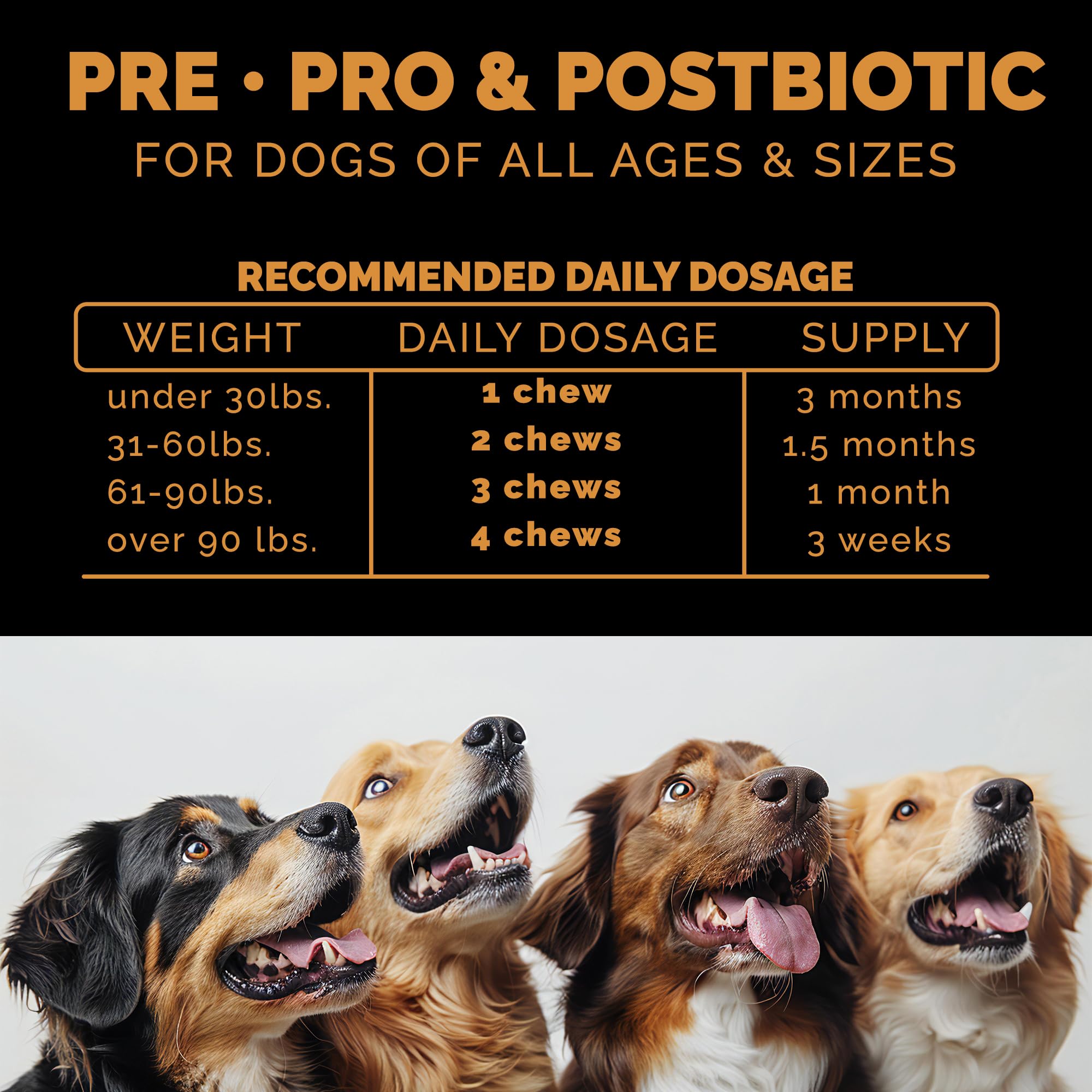 Pet Theory Probiotics for Dogs. Dog Digestive Health-Pre Pro and Postbiotic Combination-Pet Supplements for Gut Health-Supports Digestion, Boost Immunity-100CT Soft Chews Pet Theory Au supplements