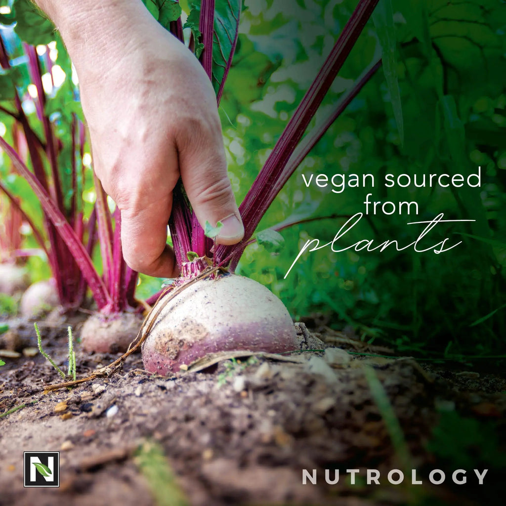Nutrology Beet Natural O2, Pre Workout Powder, Energy, Endurance; Nitric Oxide Booster Nutrology Au supplements