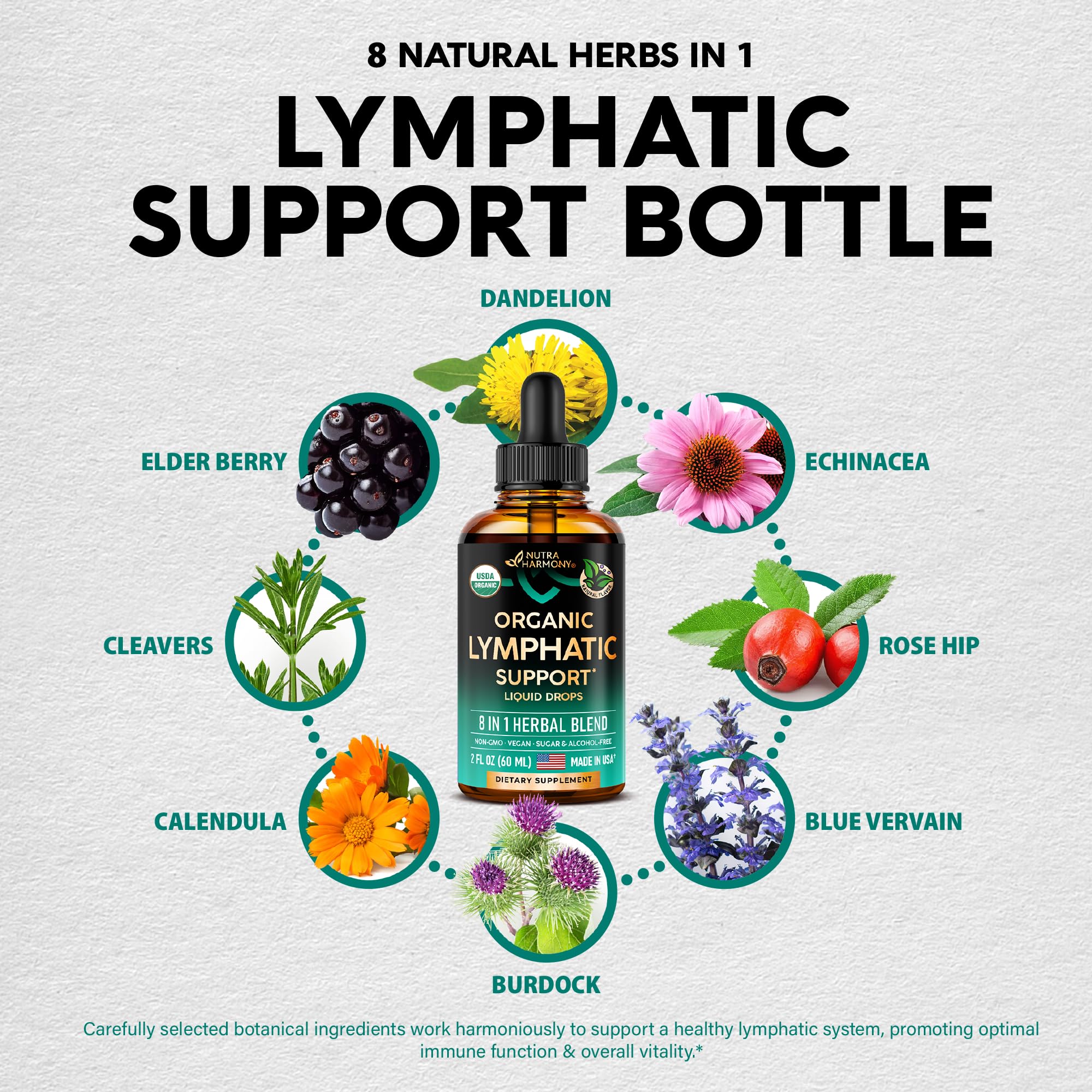 USDA Organic Lymphatic Drainage Supplement - Echinacea | Elderberry | Dandelion | Rosehip | Cleavers | Calendula | Burdock - Made in USA - Lymph System Drops
