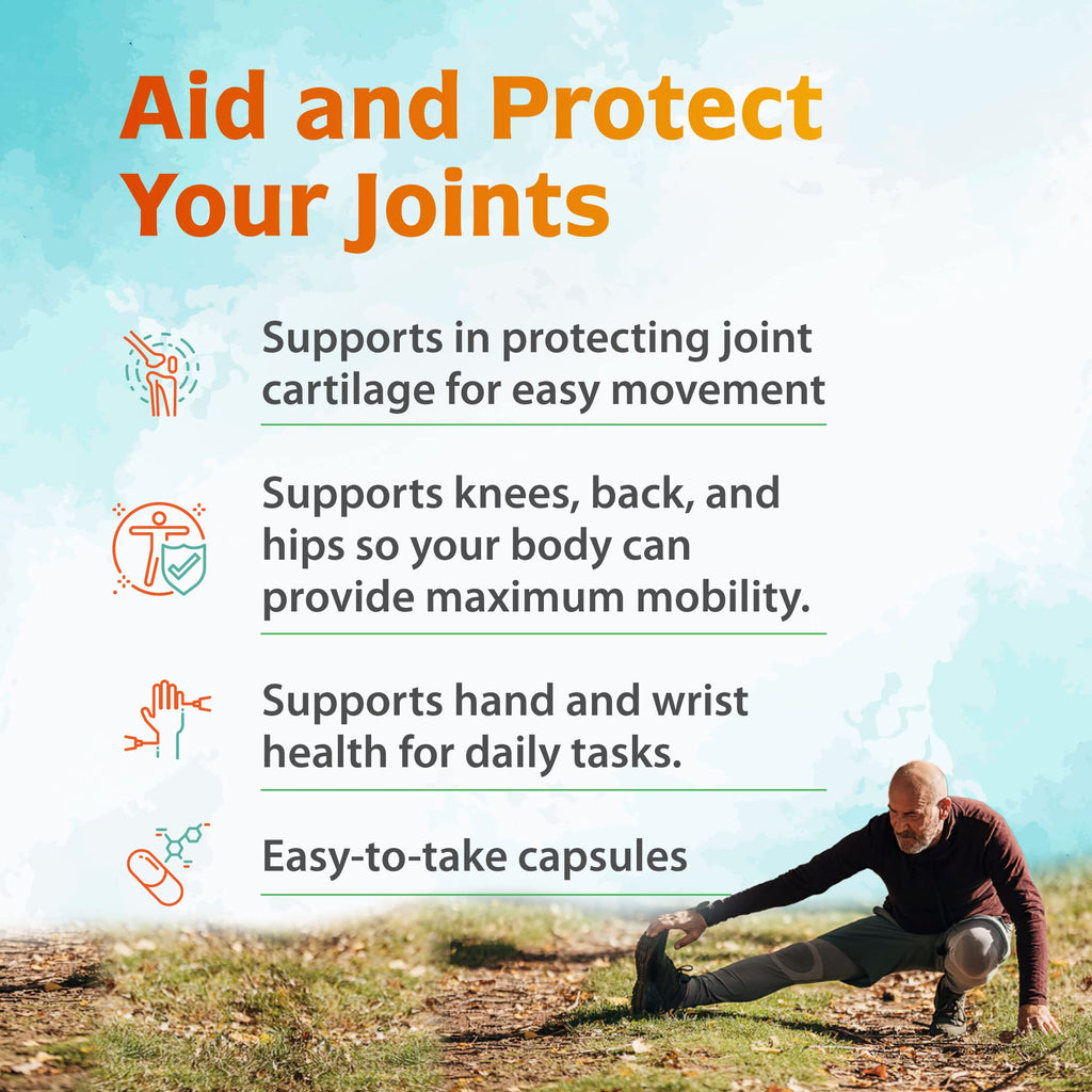 Zenith Labs Joint N-11 Joint Health Supplement Zenith Labs Au supplements