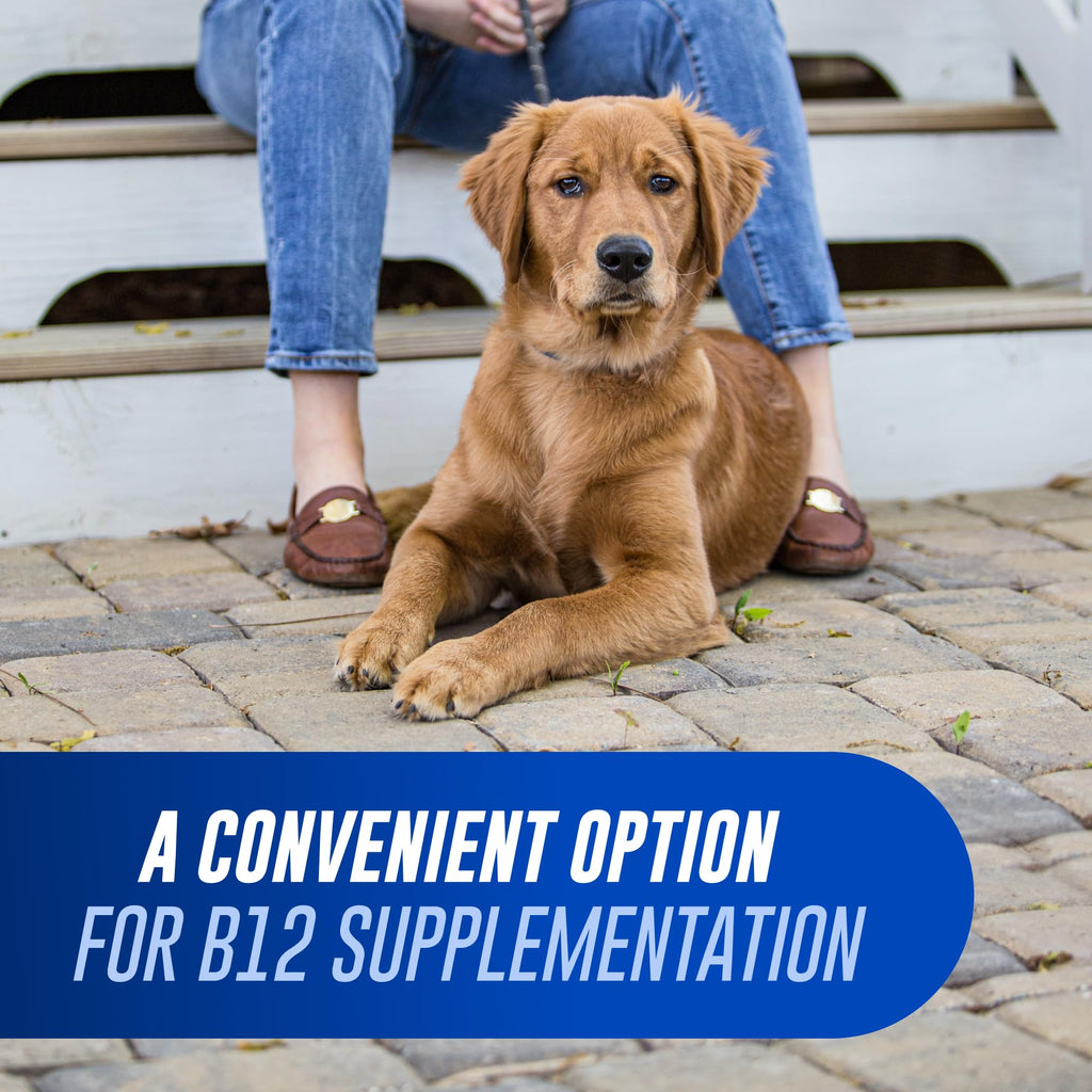 Nutramax Cobalequin B12 for Dogs, Oral Cobalamin Supplement with Folate, Vitamin B12 for Dogs Over 22 lbs., Supports GI Health, Chewable Tablets, 45 Count