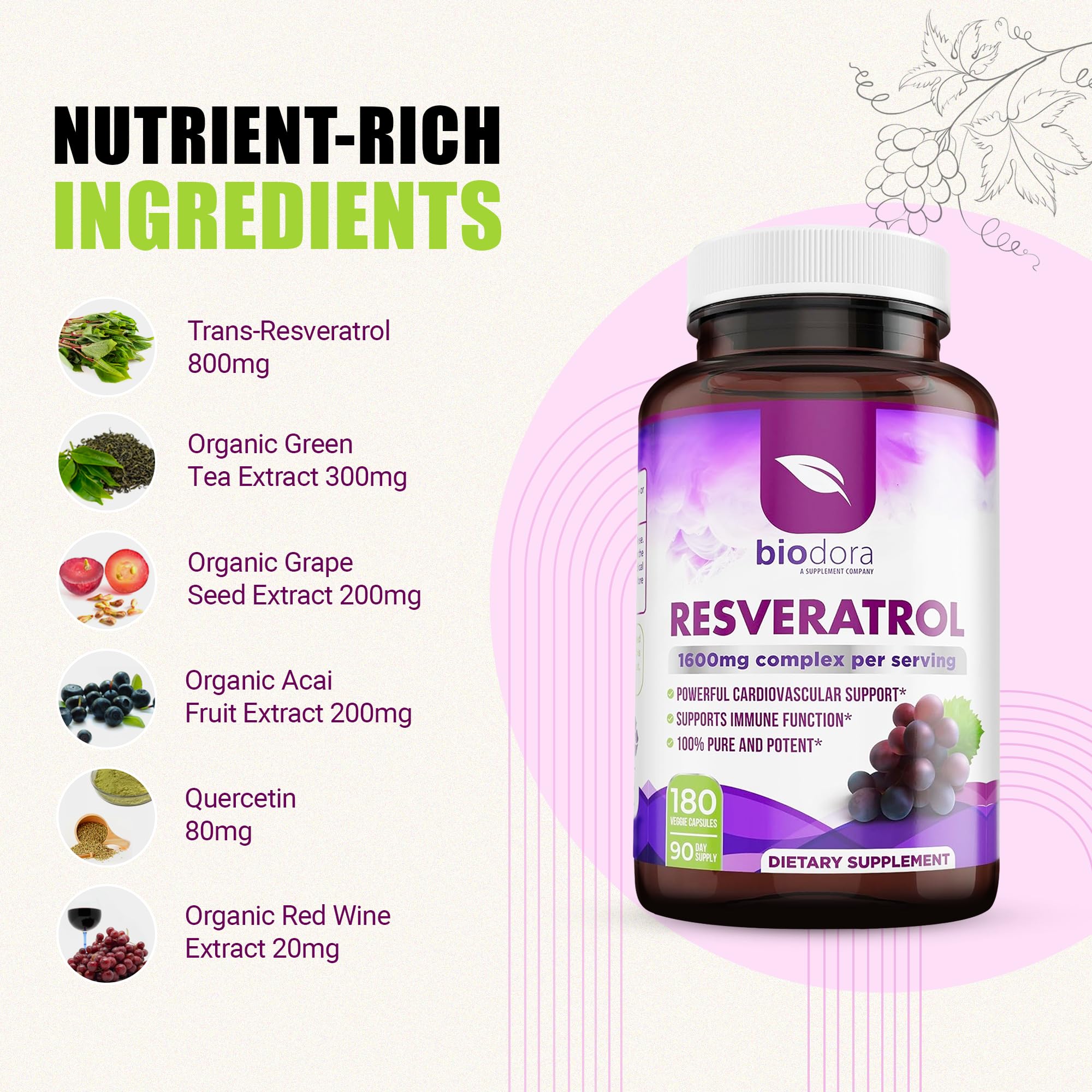 Resveratrol 1600mg - 180 Capsules | Trans-Resveratrol Antioxidant Supplement with Natural Green Tea, Grape Seed Polyphenols & Quercetin, Supports Digestive