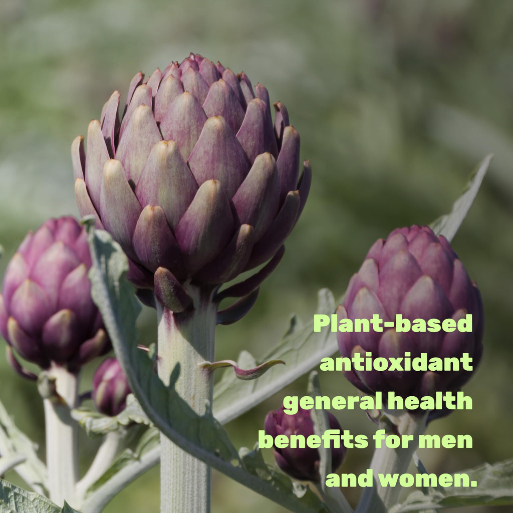 Apigenin, 100mg Per Serving, 240 Capsules – Raw Plant Extract from Chamomile Flower – Active Bioflavonoids & Antioxidants