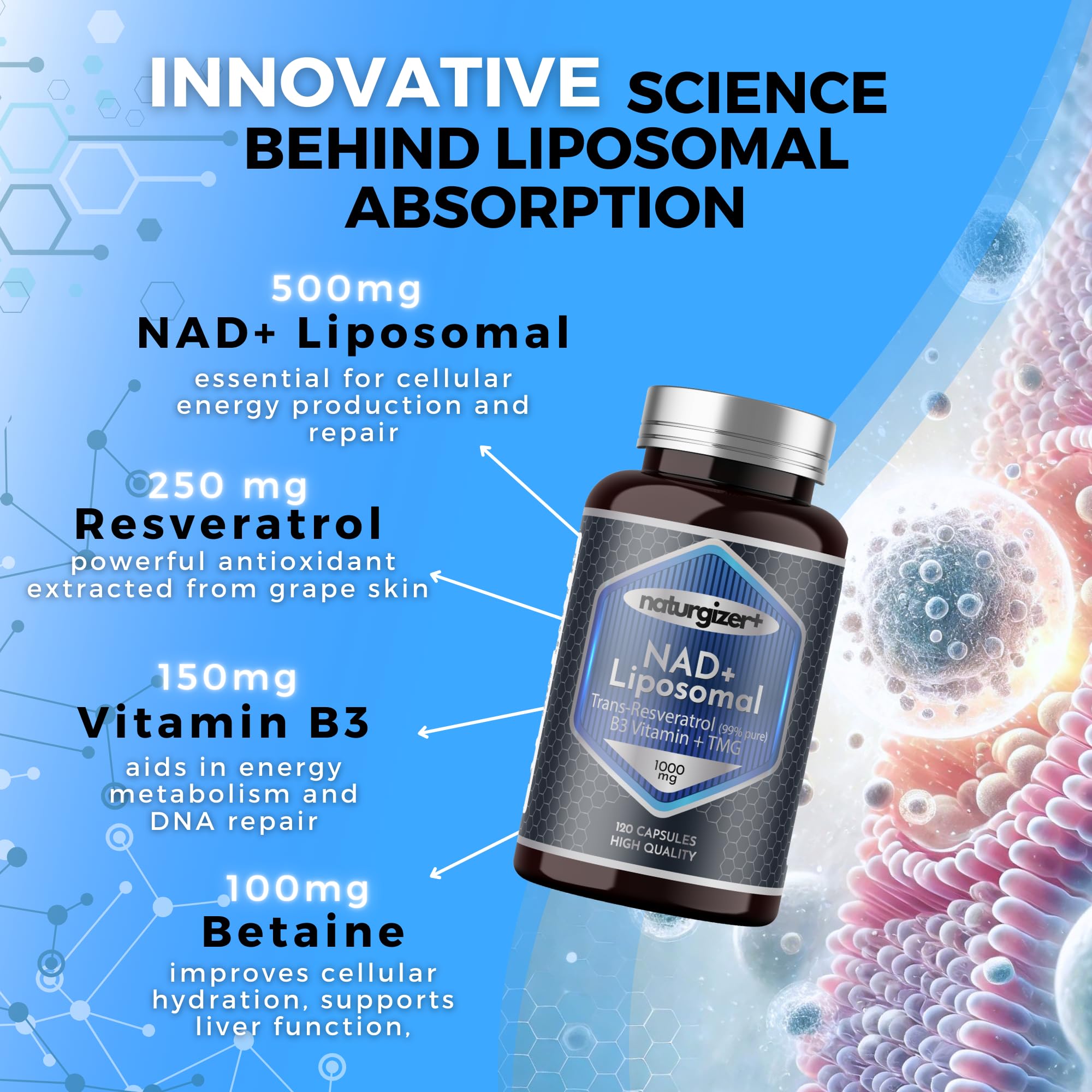naturgizer+ Liposomal NAD+ Supplement with Resveratrol, TMG & Vitamin B3 | 4-in-1 Healthy Aging & Cellular Energy Support | High Absorption NAD Plus for Men & Women Over 40 | 120 Capsules naturgizer+ Au supplements