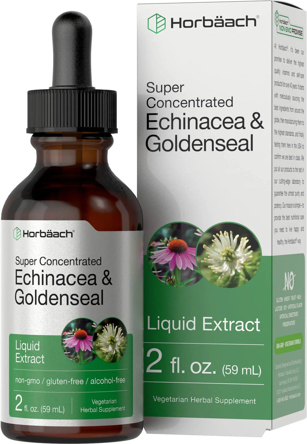 Echinacea Goldenseal Liquid Extract | 2 fl oz | Alcohol Free Tincture Drops | Vegetarian Horbäach Au supplements