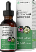 Echinacea Goldenseal Liquid Extract | 2 fl oz | Alcohol Free Tincture Drops | Vegetarian Horbäach Au supplements